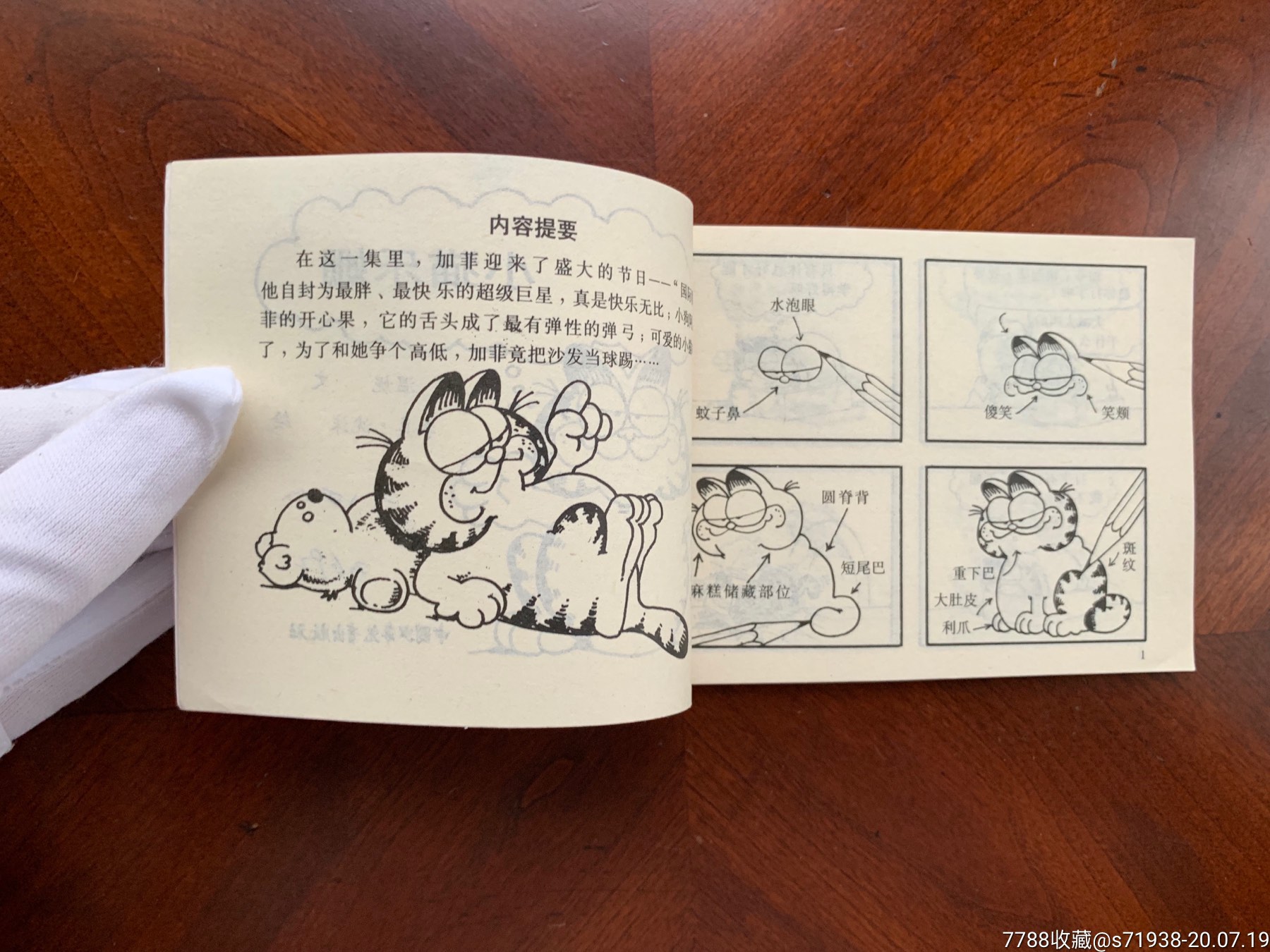胖猫加菲——小猫乐姗_连环画/小人书_第6张_7788小人书