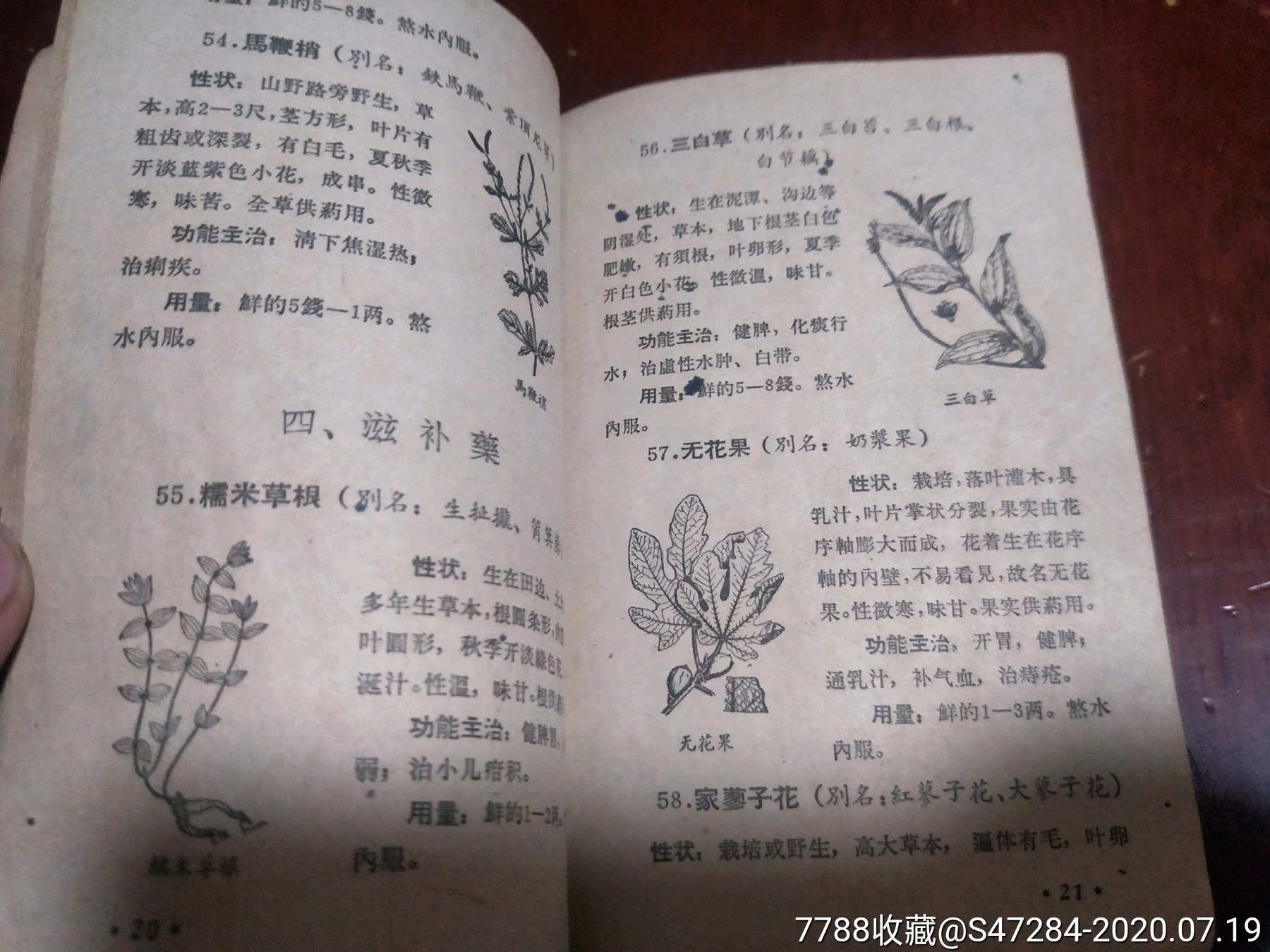 农村常见疾病草药治疗手册,草药处方