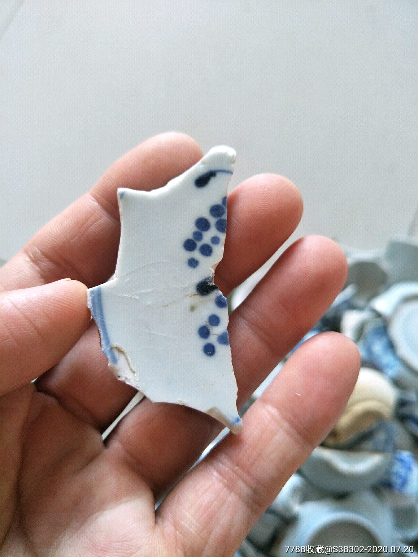 明清时期古瓷片一枚临清运河古玩店万枚瓷片标本馆