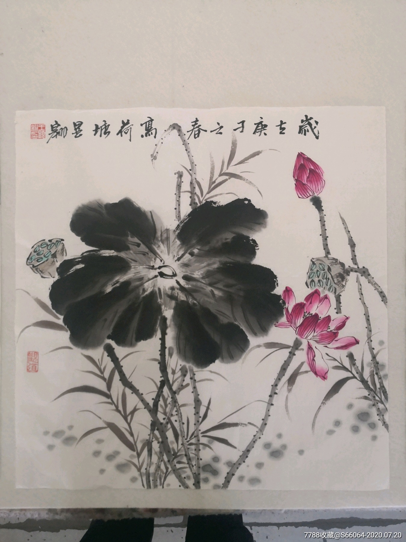 今日特价斗方荷花三幅作品_第2张_7788书画网