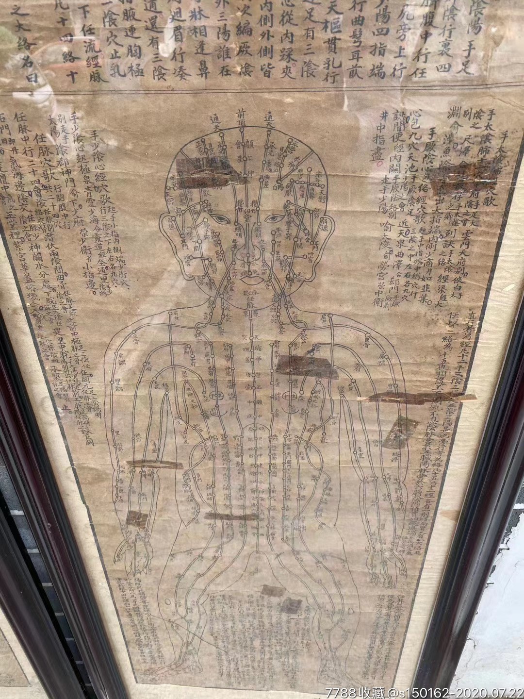 "手绘"中医针灸脏腑经络图一套四幅,尺寸:高124厘米,宽46厘米/品如图