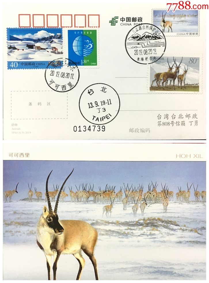 tp40可可西里6-5动物邮资片加贴藏羚羊邮票青海格尔木可可西里日戳