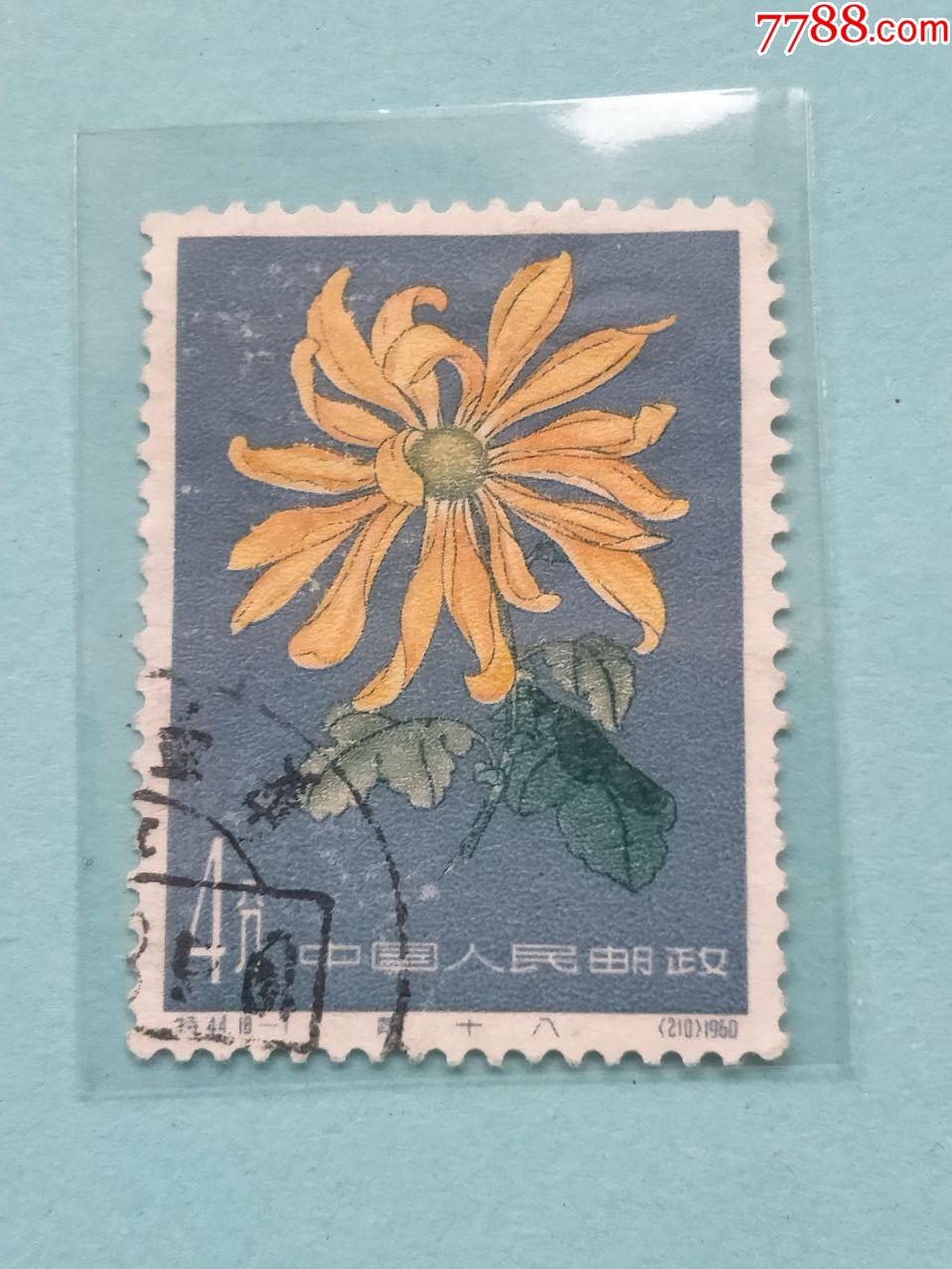 特44菊花-新中国邮票-7788收藏