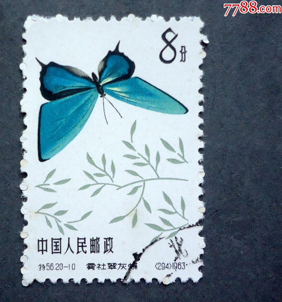 邮票特56蝴蝶2010雾社翠灰蝶盖销