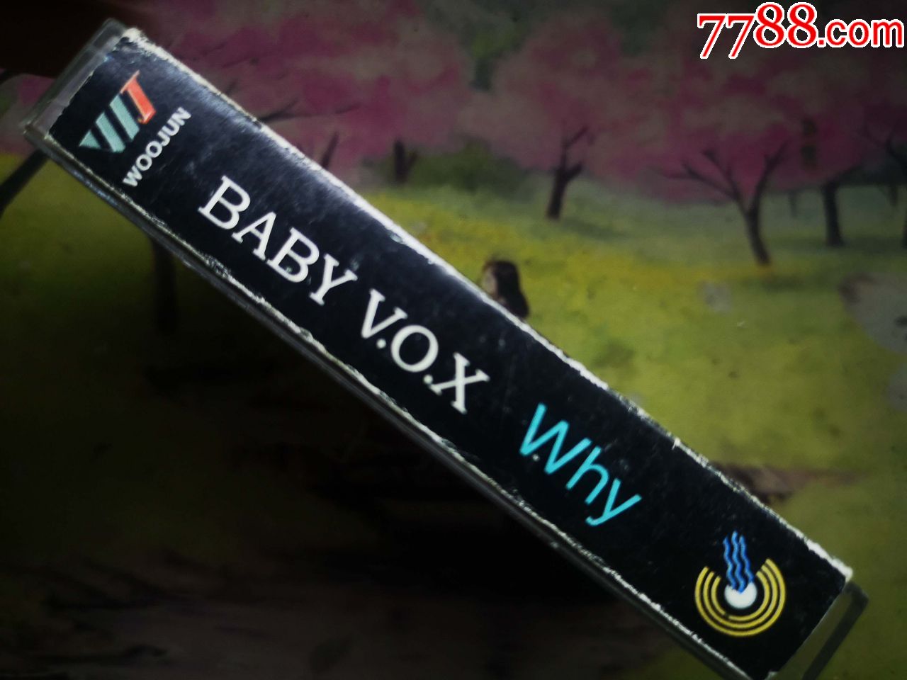 【baby-vox】【why】【磁带】