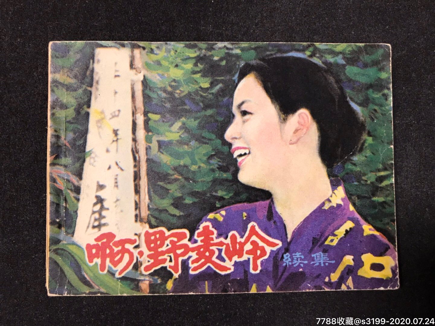 啊,野麦岭-续集