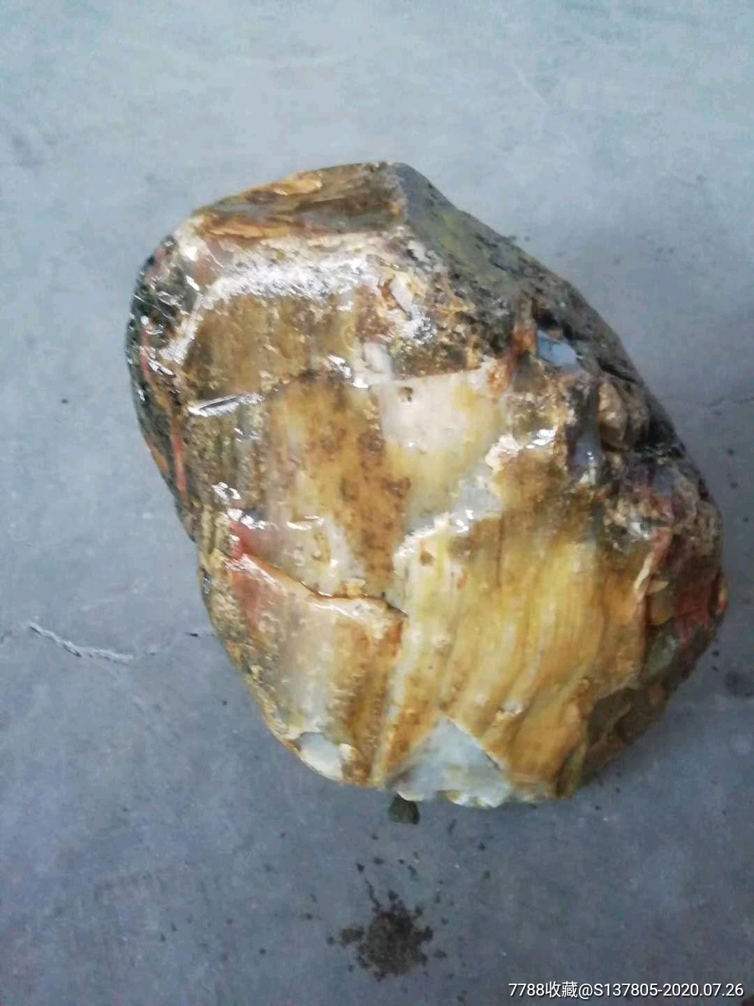 树化玉原石高古树化玉原石大块