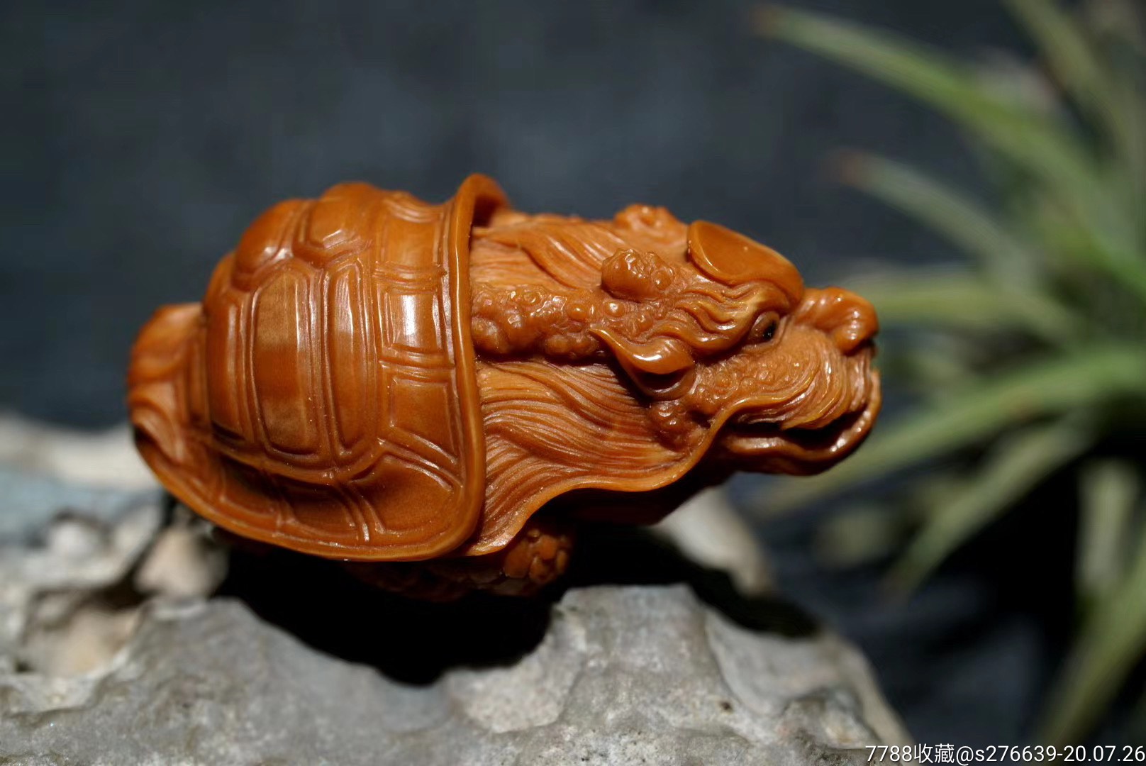 龙龟,橄榄核雕_第6张_7788橄榄雕