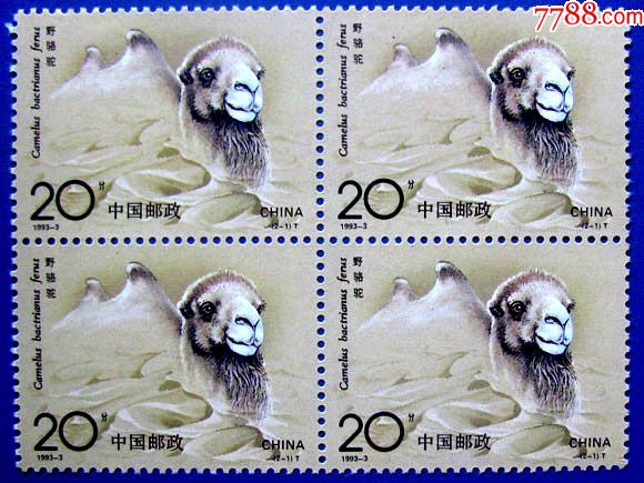 1993-3,野骆驼四方连(4套)(有单张照)甩卖,核好,新中国邮票【叶子黄】