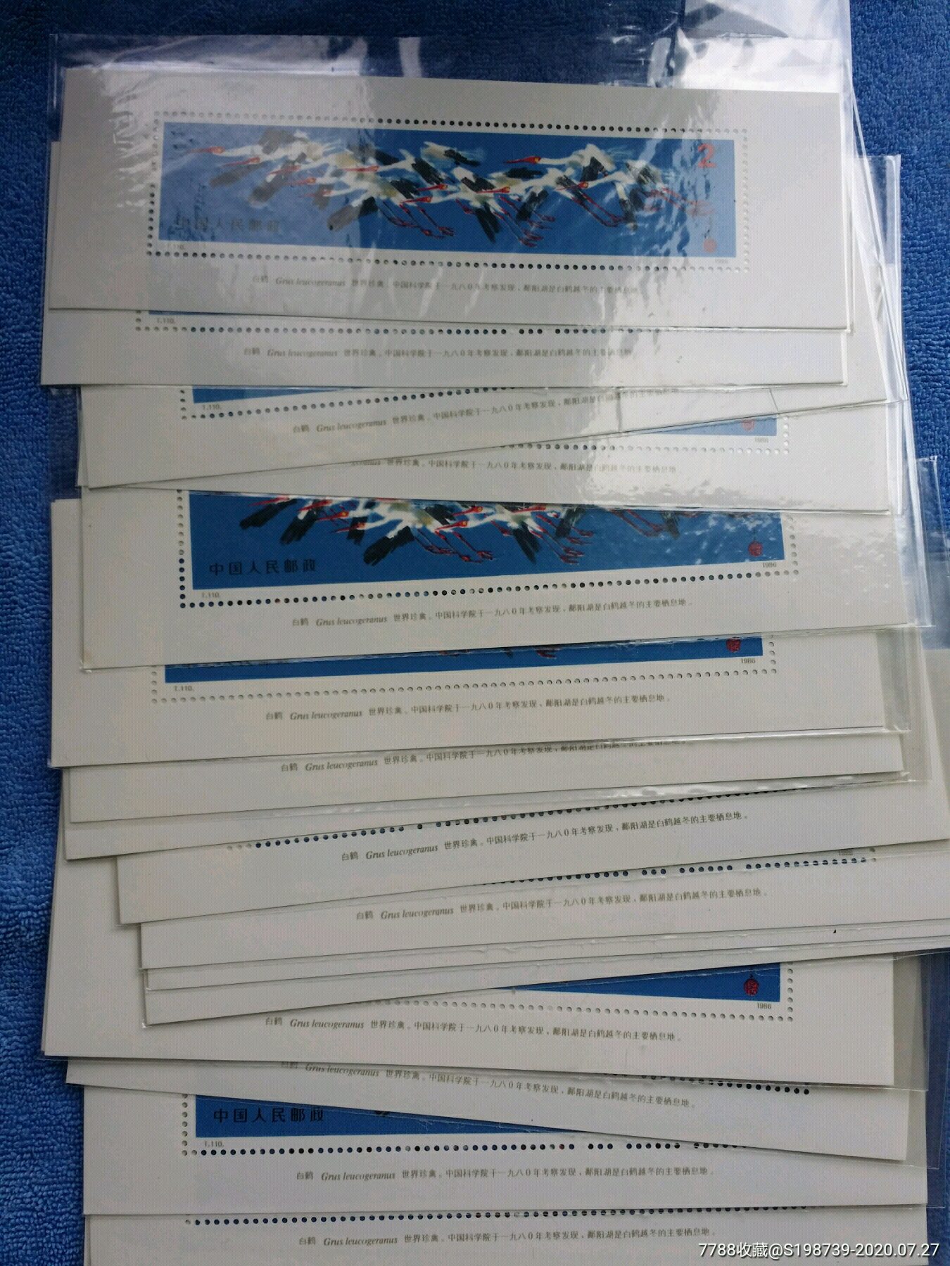 t110白鹤小型张-新中国邮票-7788收藏
