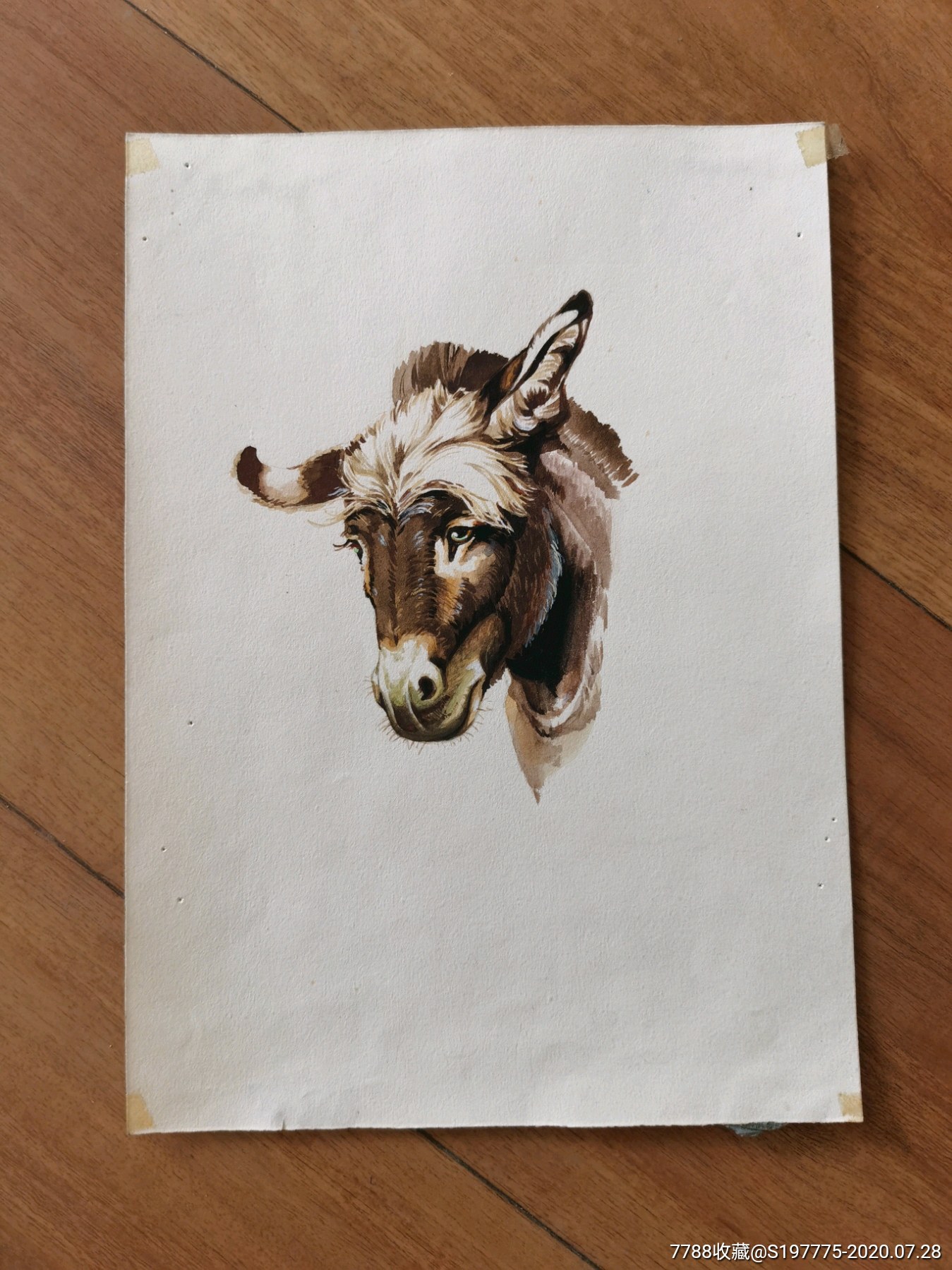 驴头彩色原稿画稿