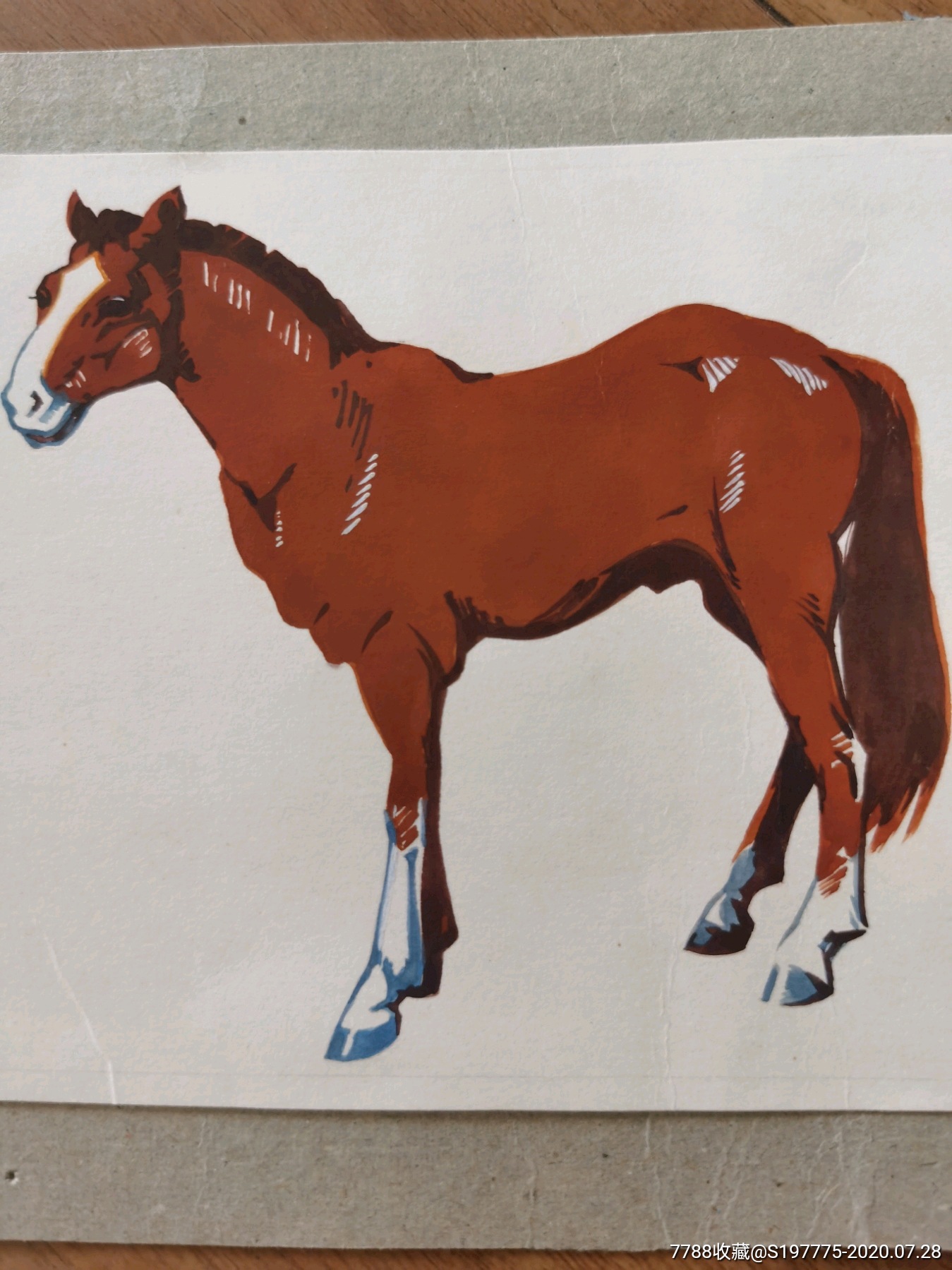 马彩色原稿画稿