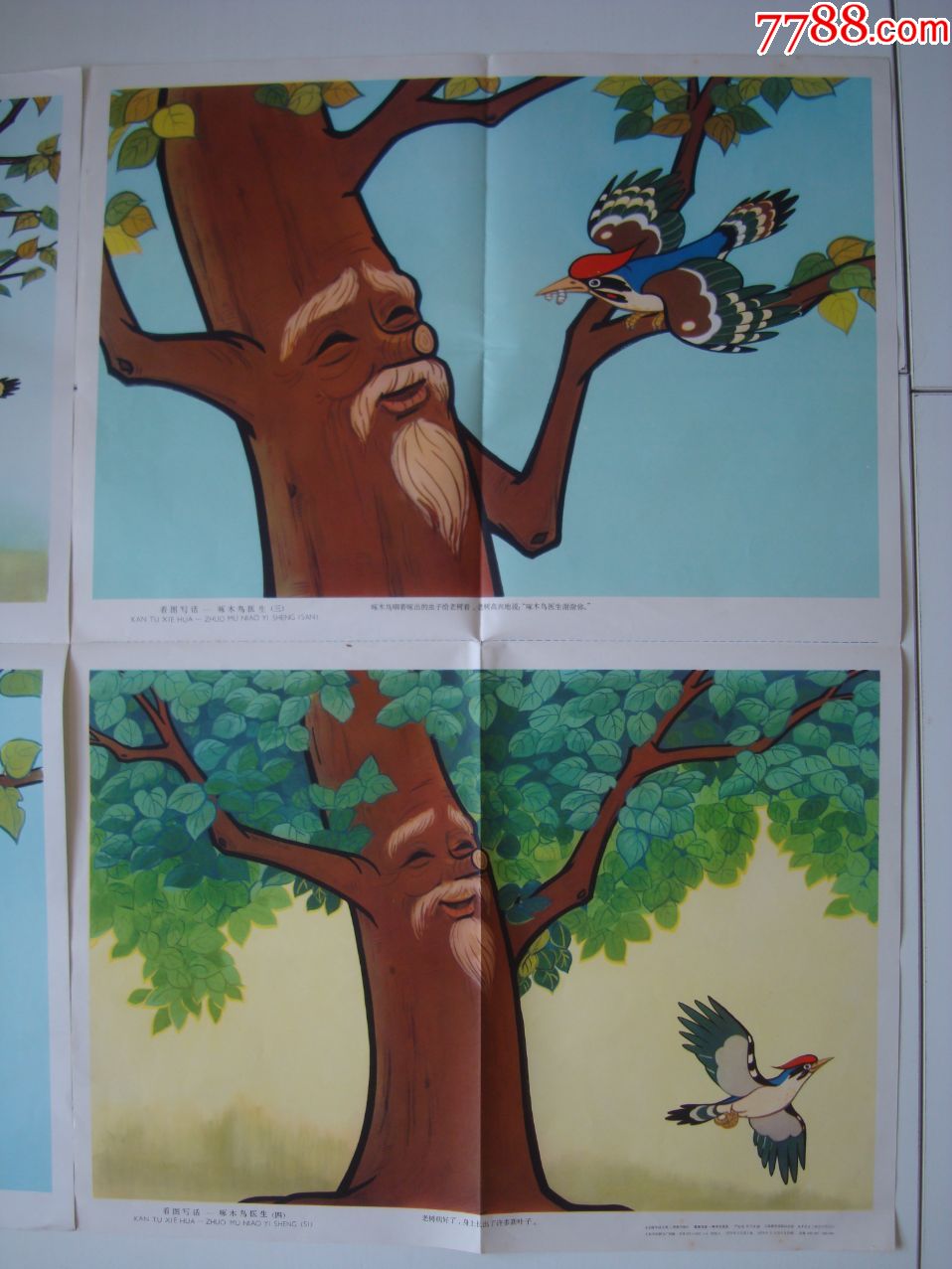 看图写话啄木鸟医生――2张1―4一套1979年1版1印尺寸见图片