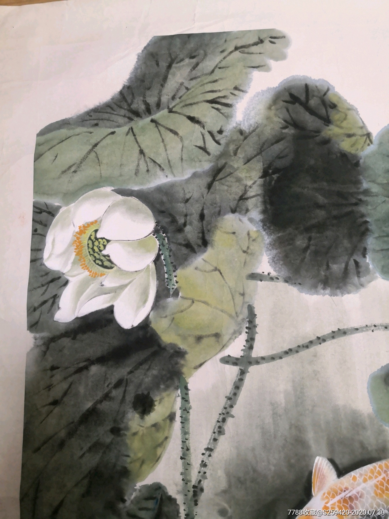 陈忠南(荷叶鱼戏图)