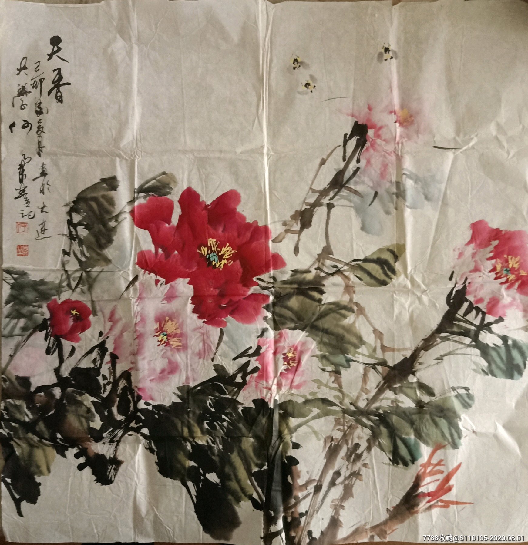 何兰坐精品牡丹