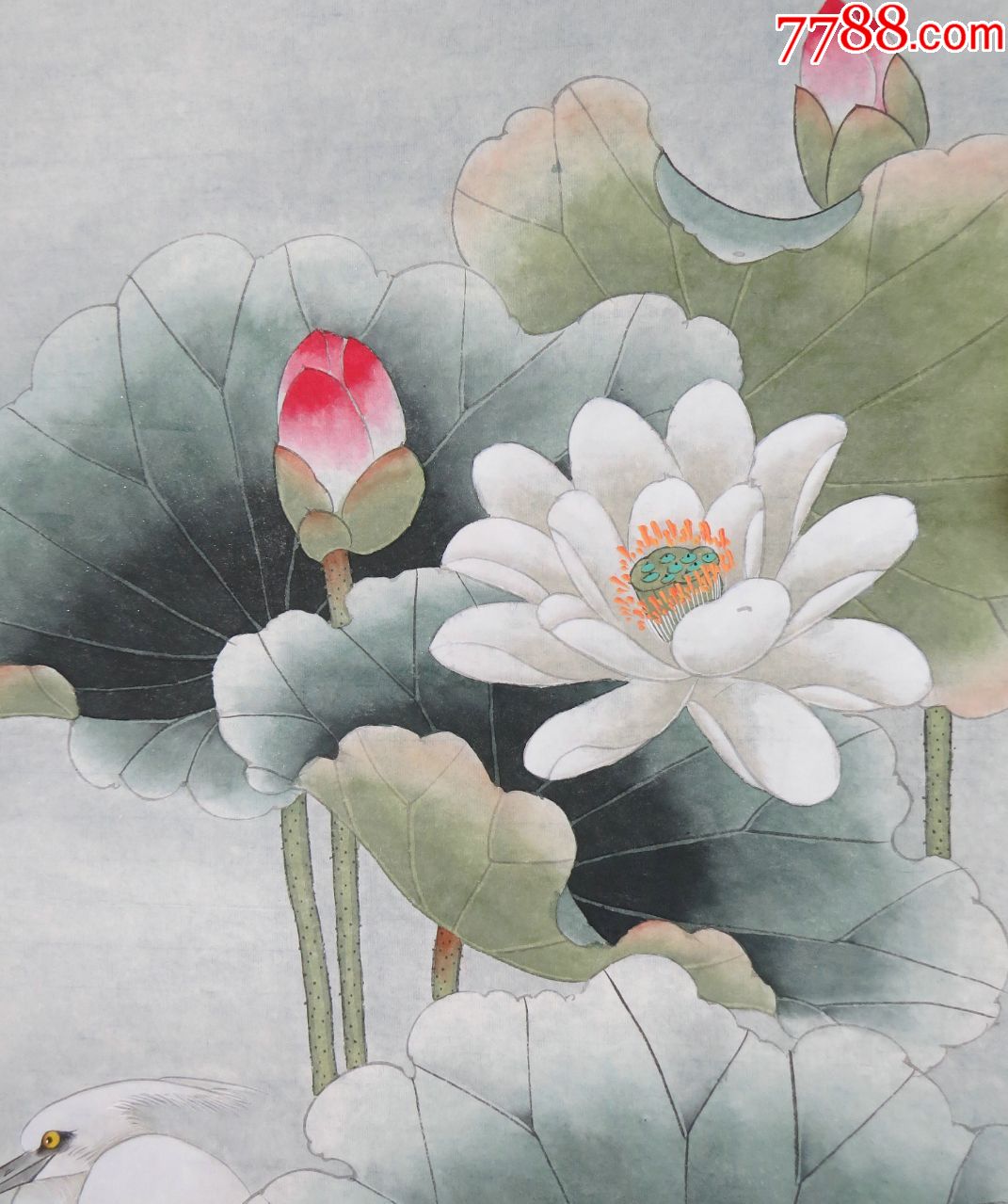 中美协会员秦霞八平尺工笔花鸟保真迹_价格800.