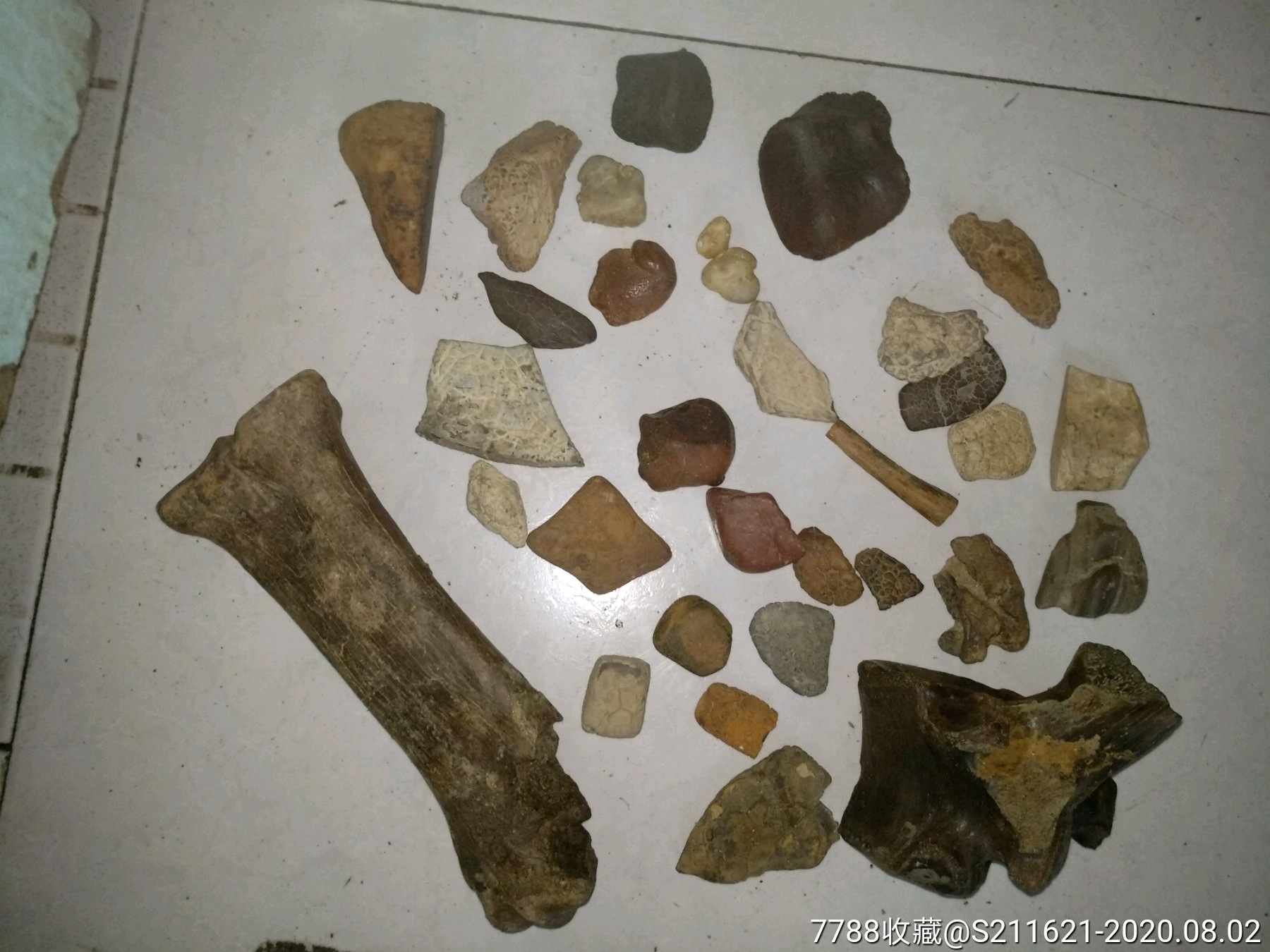 黑龙江动物化石泥石一堆包邮