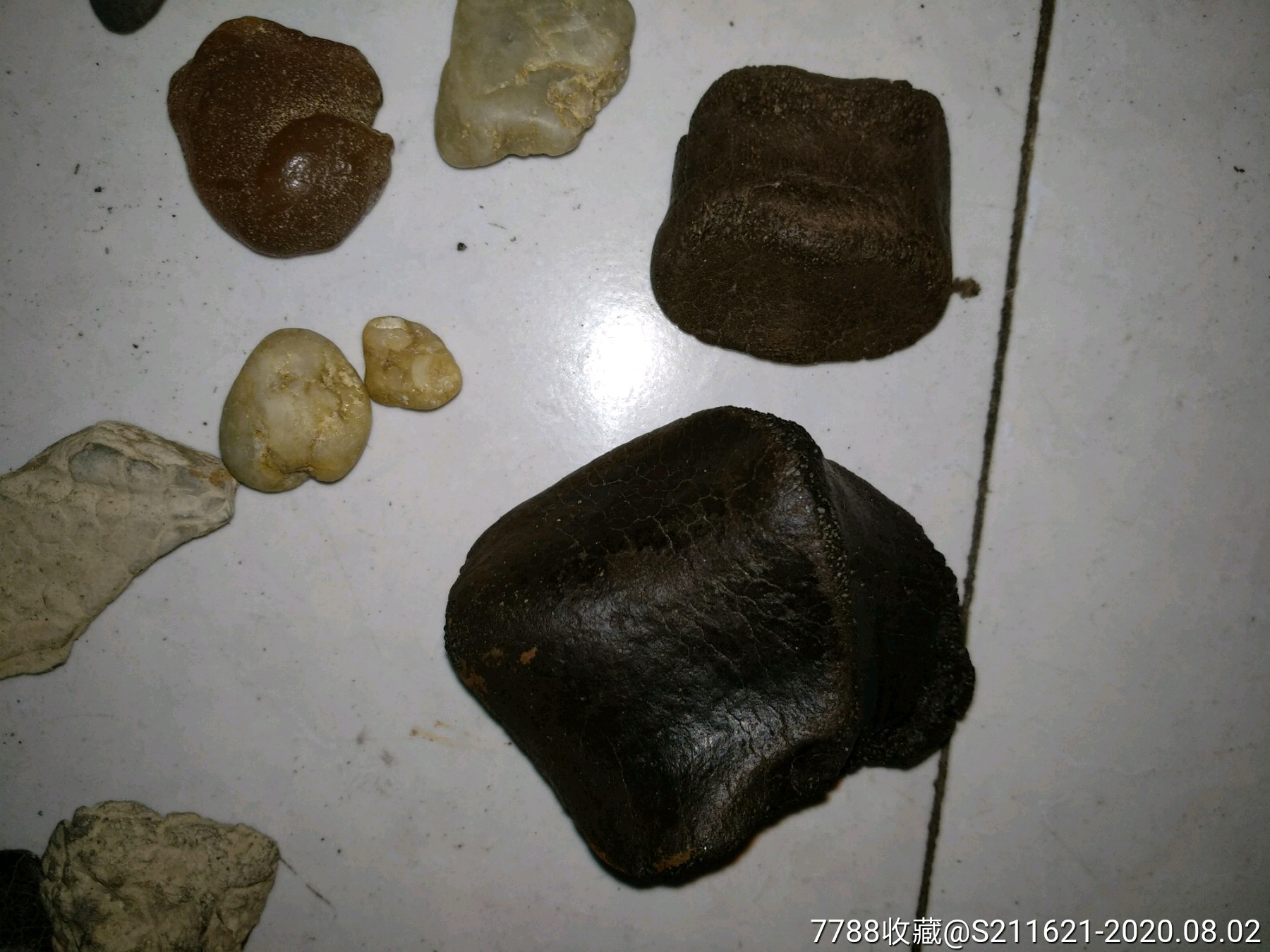 黑龙江动物化石泥石一堆包邮