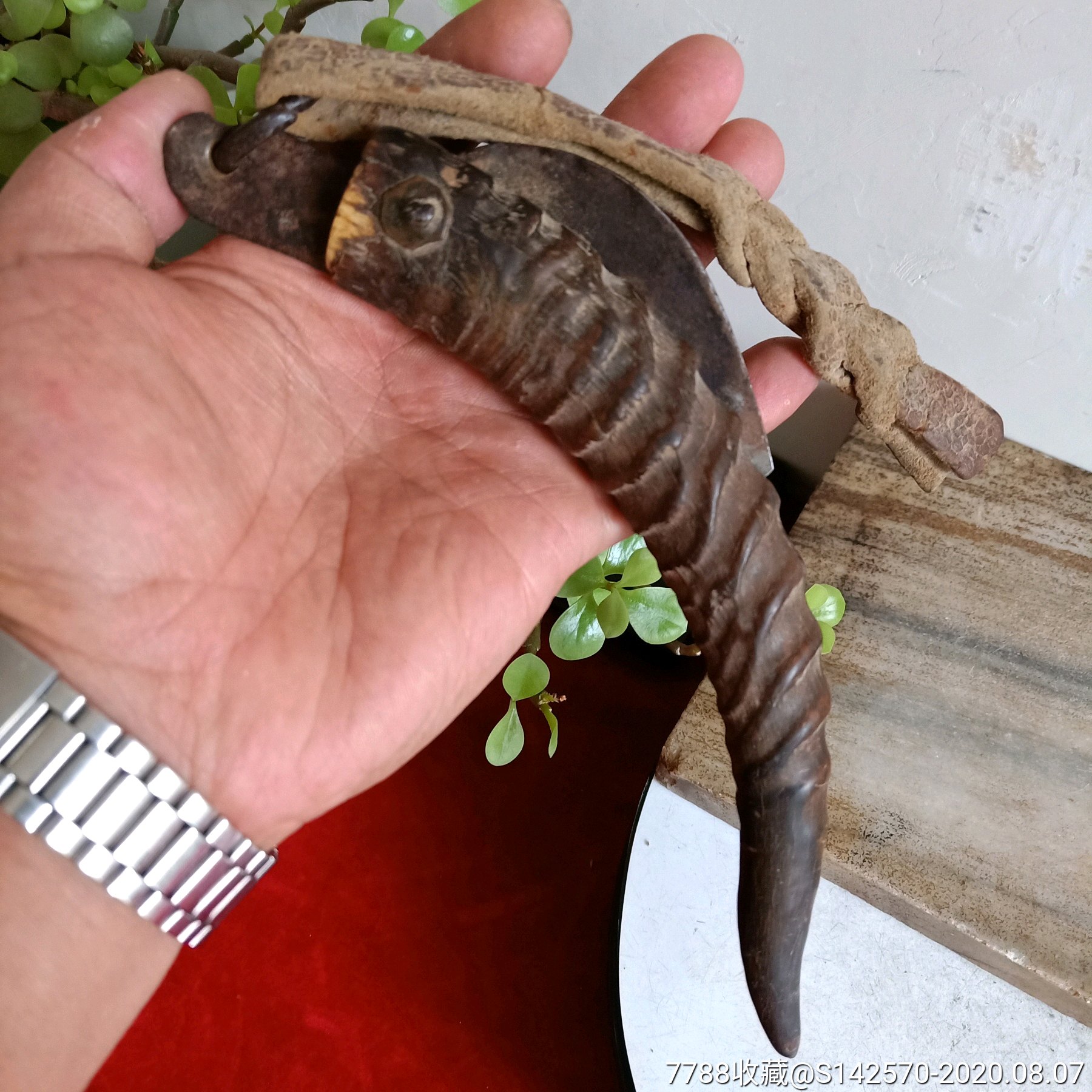 民国角制羊角铁刀如图保老保真