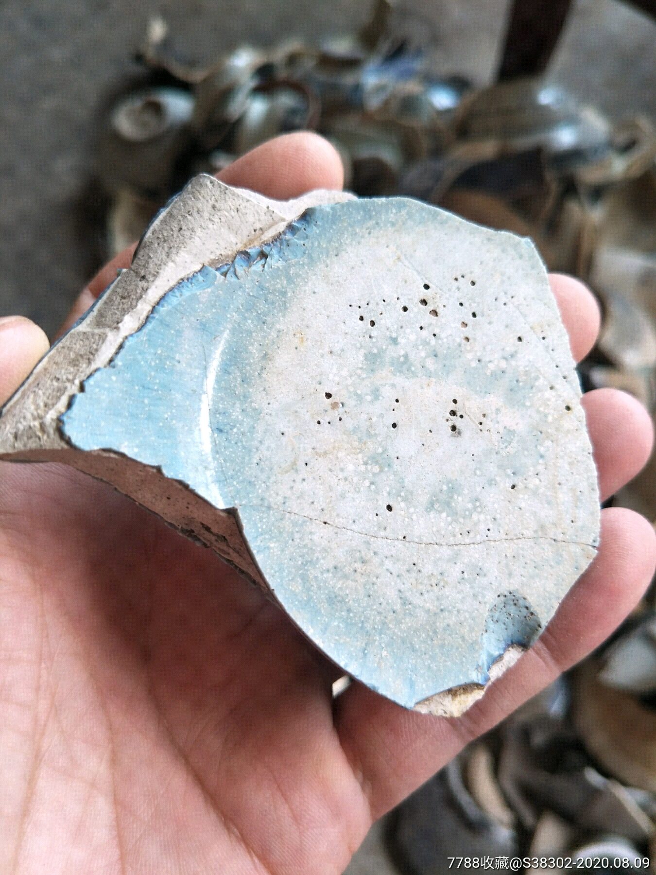 宋元钧窑瓷片一枚临清运河古玩店万枚瓷片标本馆-青瓷/秘色瓷-7788