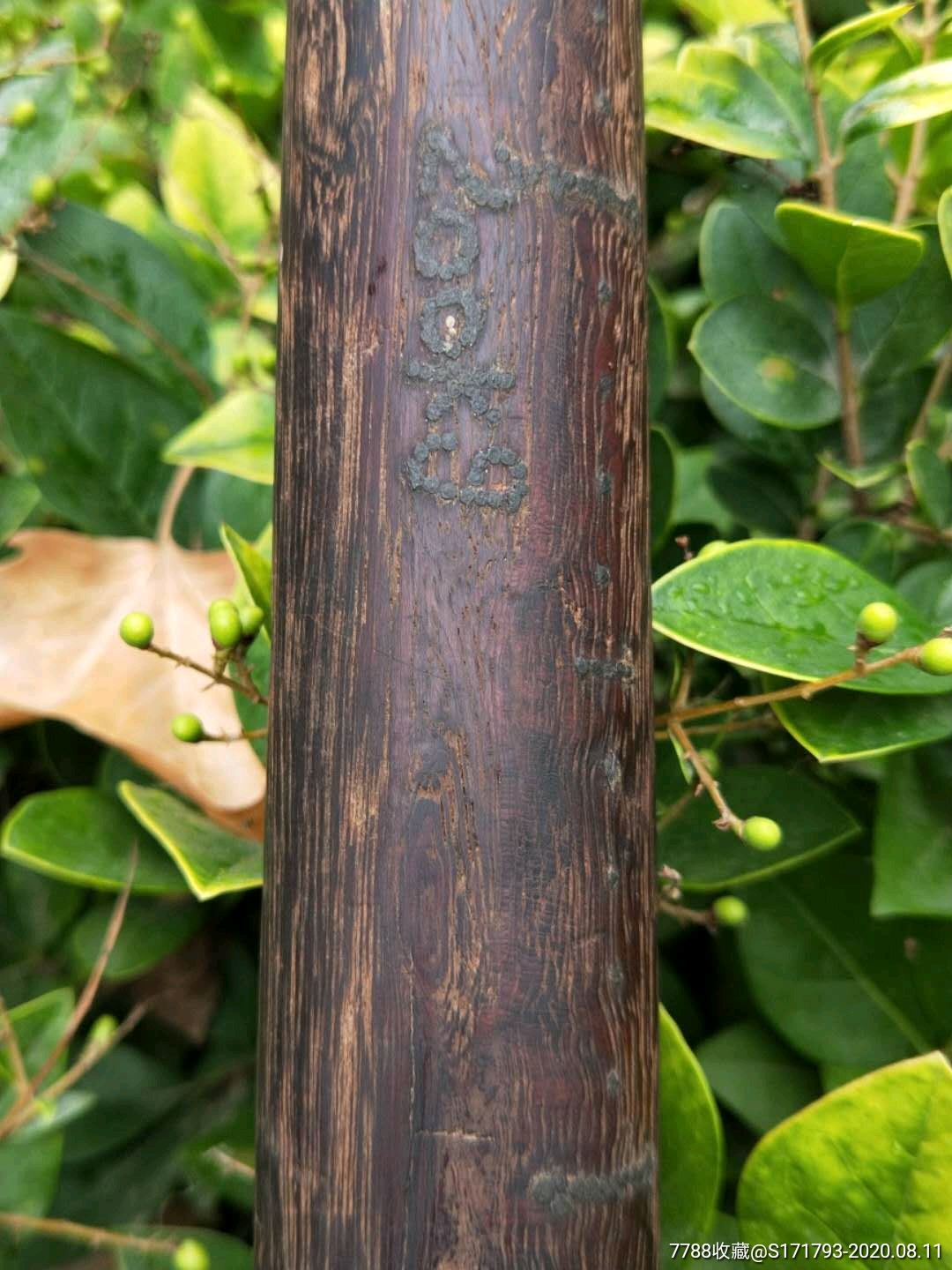 铁梨木,老称一套_价格1680.0000元_第4张_7788收藏__收藏热线