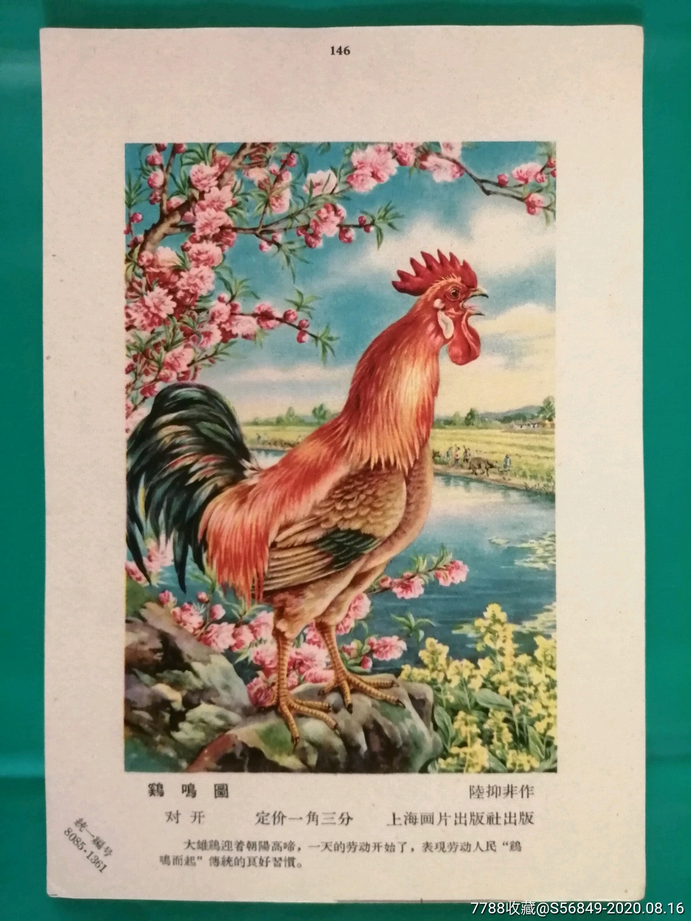 鸡鸣图,陆抑非