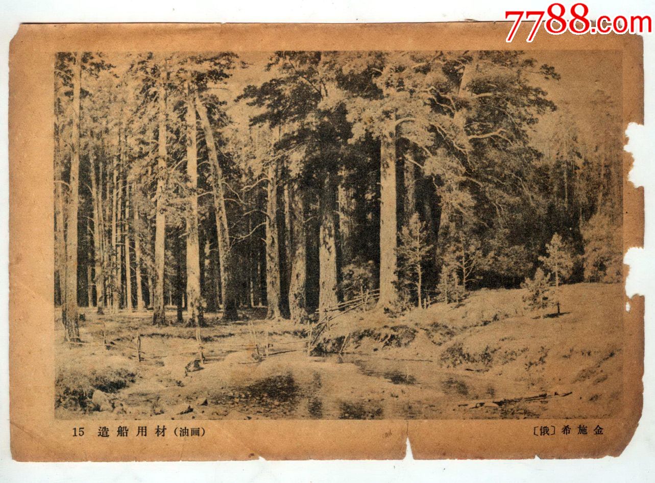 一张两面画:造船用材(希施金),金色的秋天(列维坦)