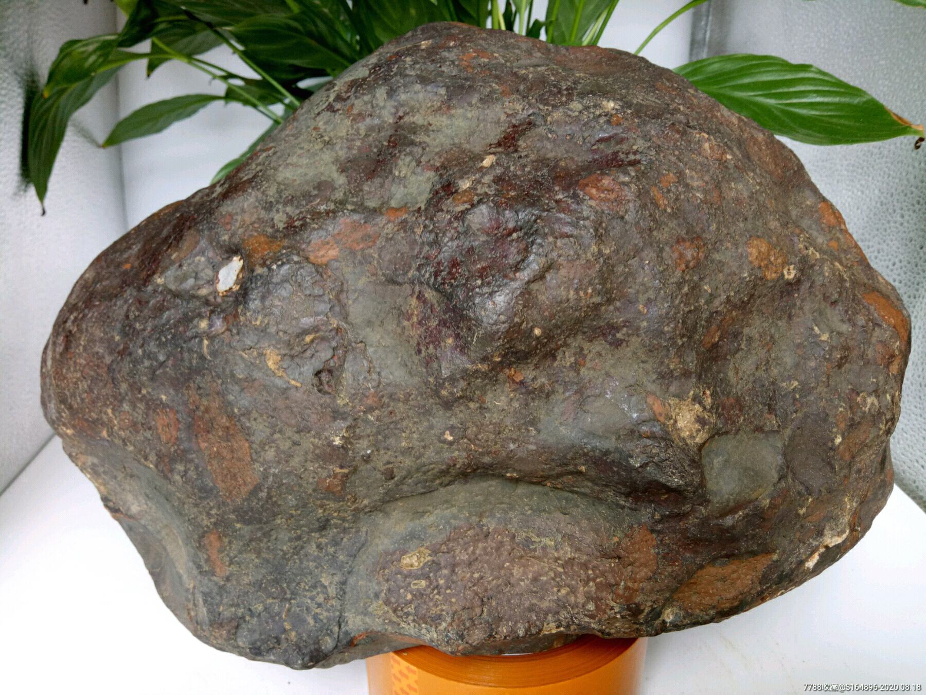 古铜陨石特征图片图片