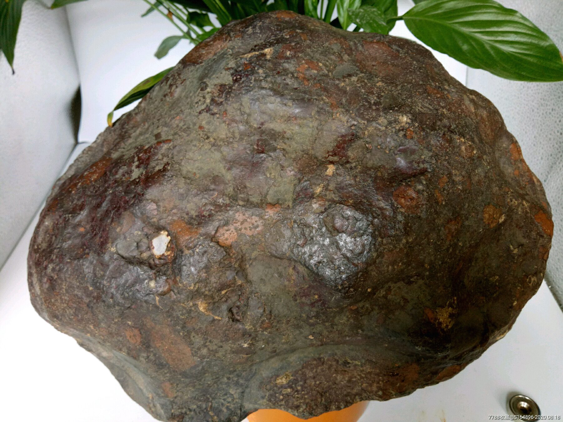 古铜陨石特征图片图片