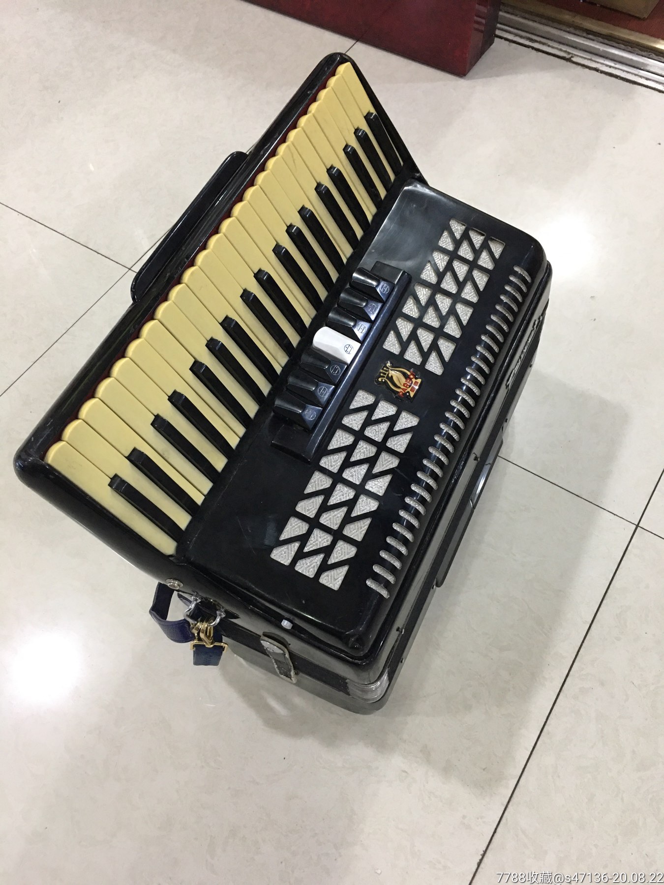 鹦鹉120贝斯手风琴