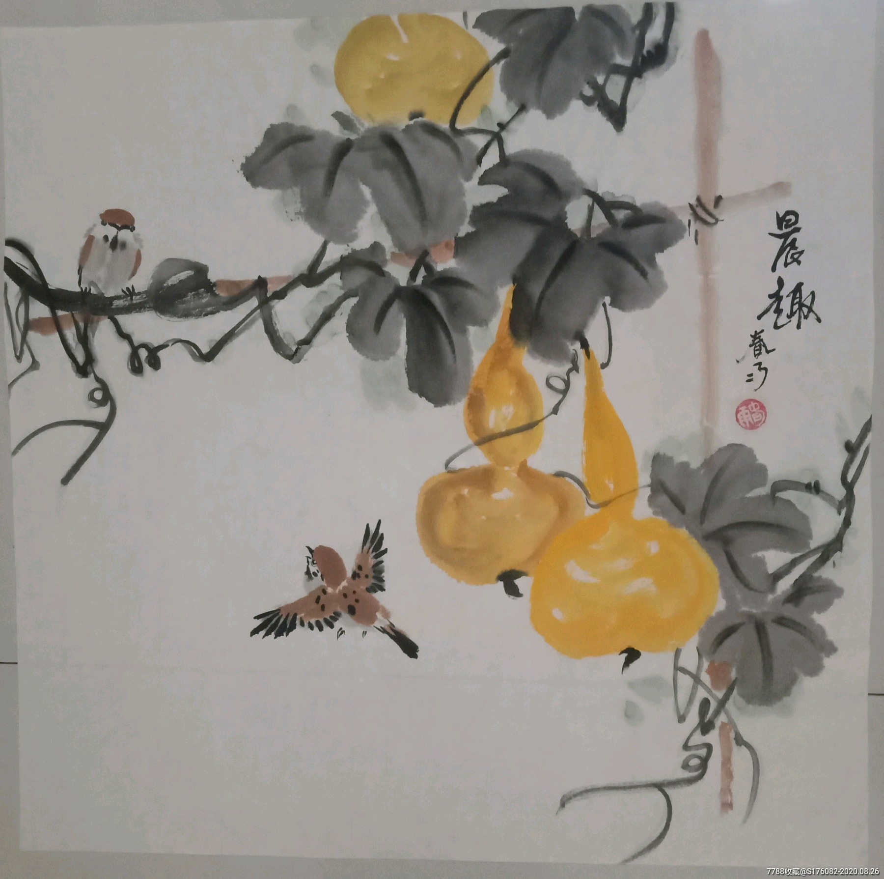 斗方国画葫芦麻雀方一一晨趣