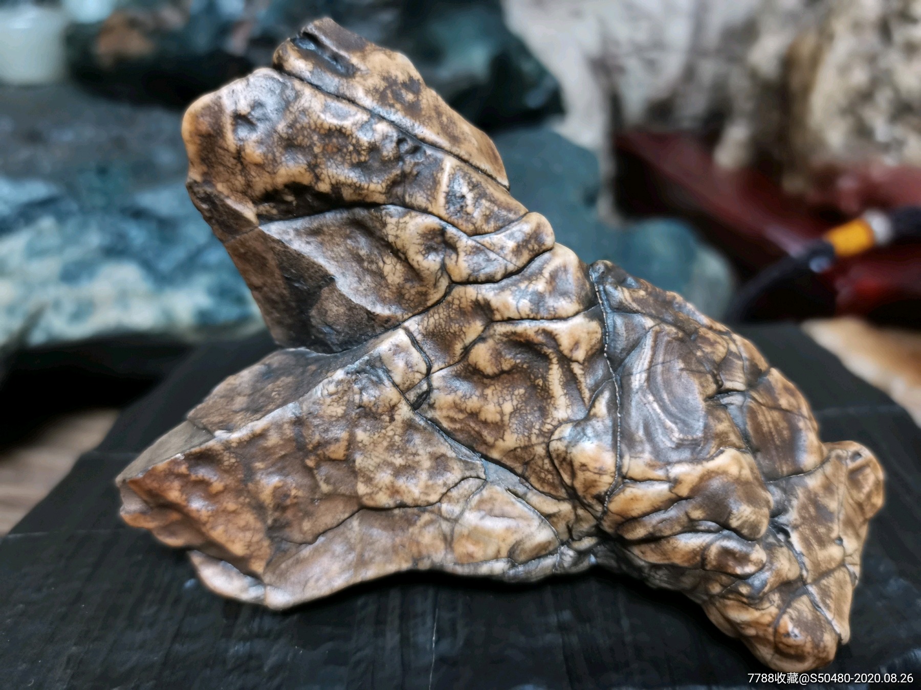 天然观赏奇石内蒙阿拉善戈壁马牙开片造型景观象形石