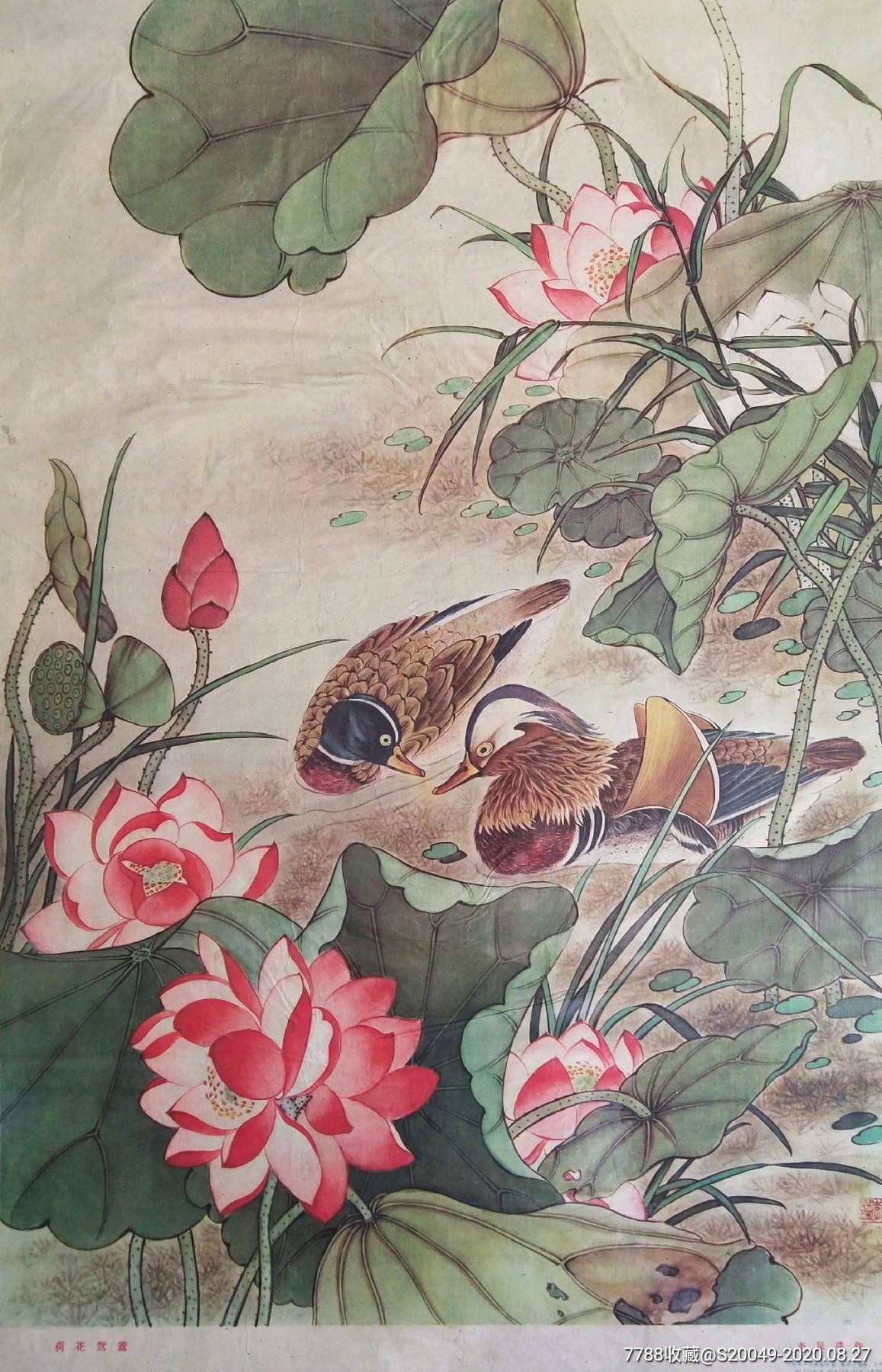 首页 零售 年画/宣传画 >> 少见63年《荷花鸳鸯》!天津美术出版社!