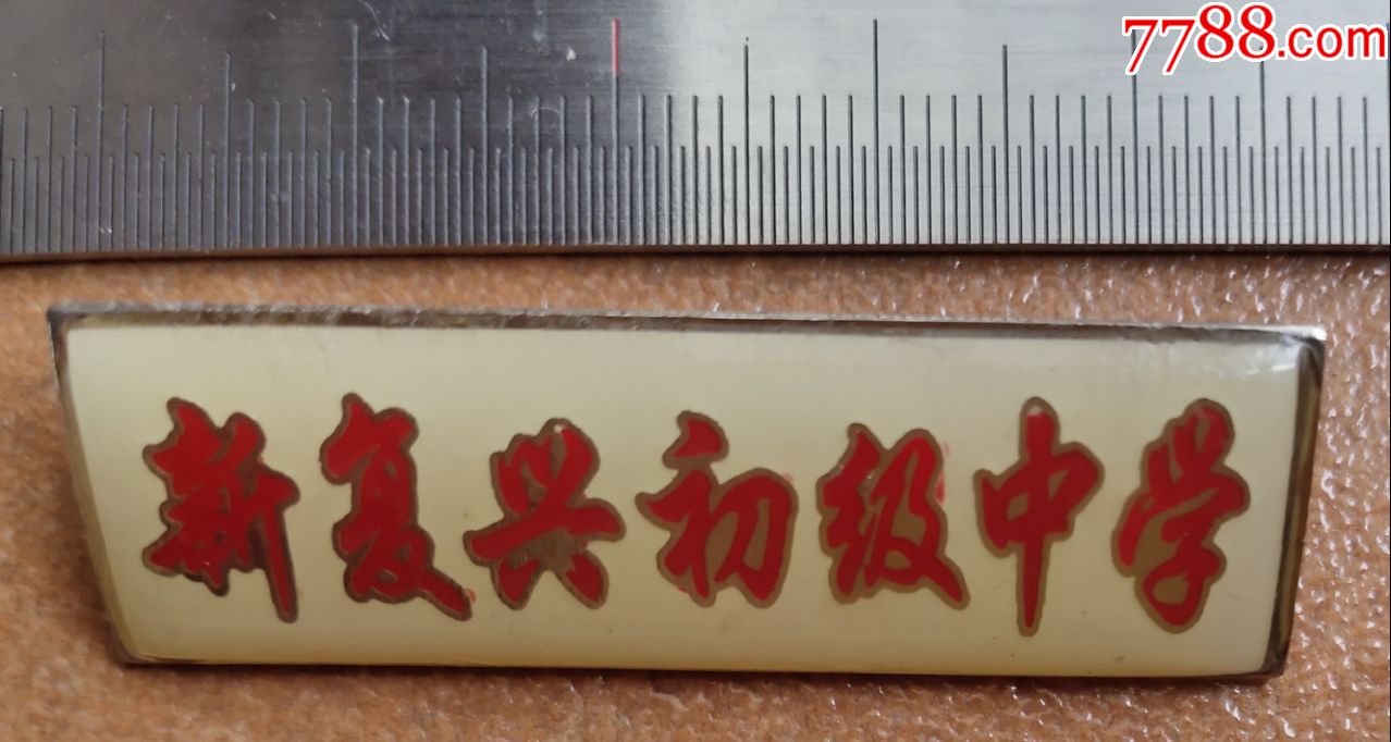 新复兴初级中学