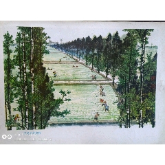 文革时期画片16开5元(zc25678859)_7788收藏__收藏热线