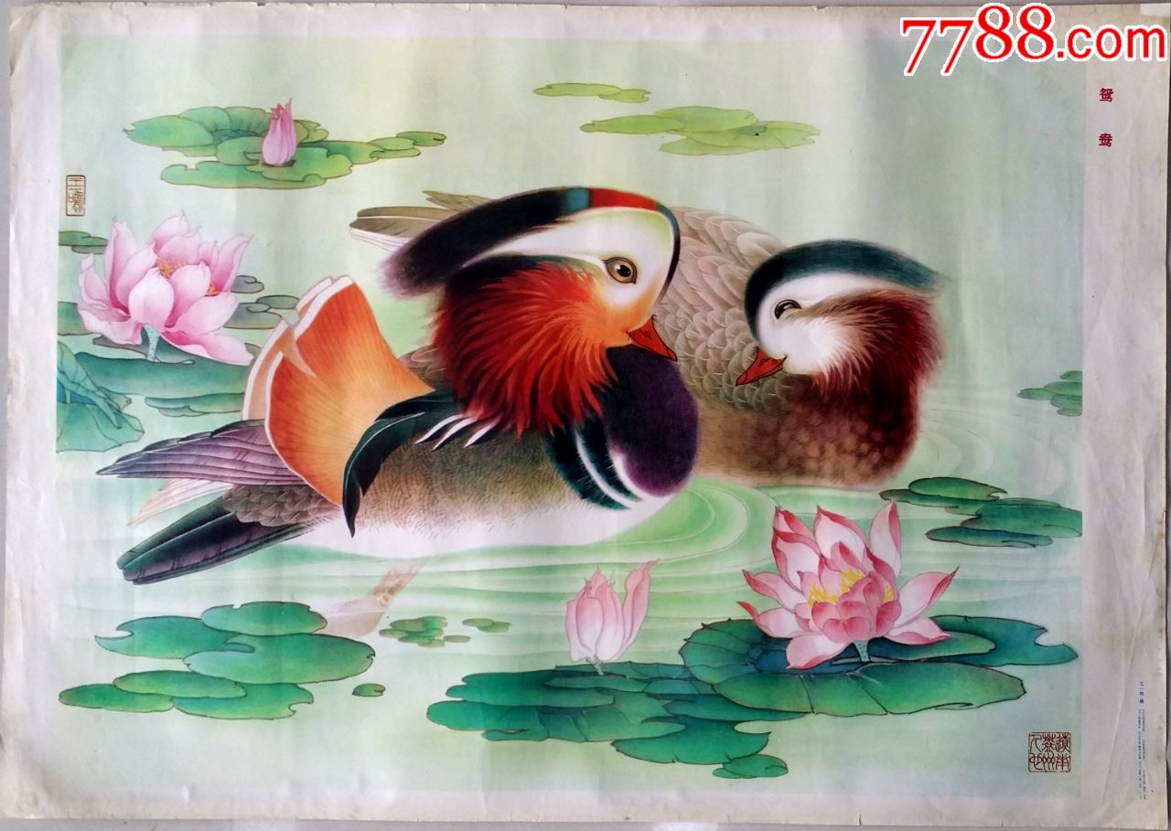 鸳鸯-年画/宣传画-7788宣传画收藏