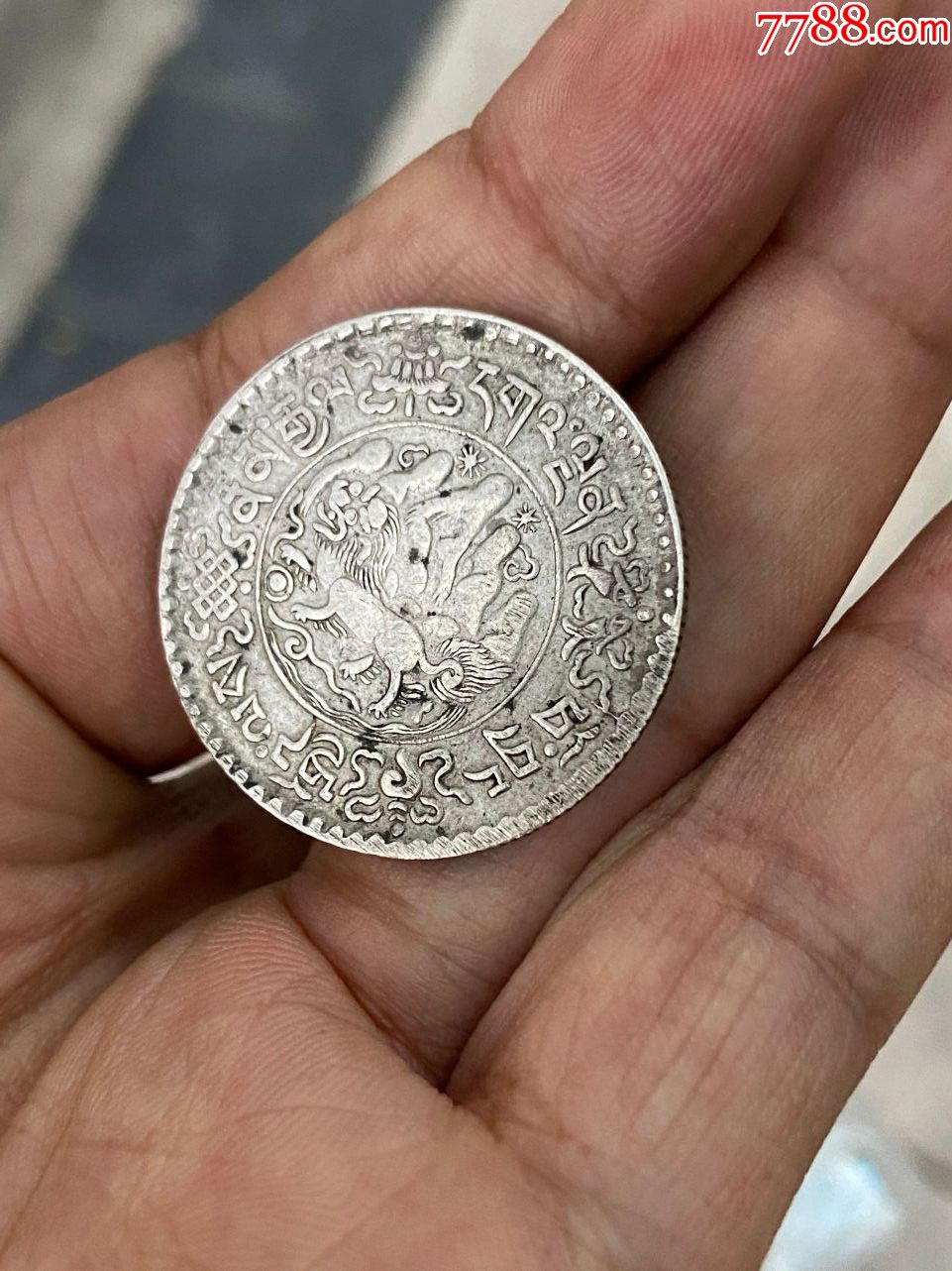 西藏桑松果木三两银币