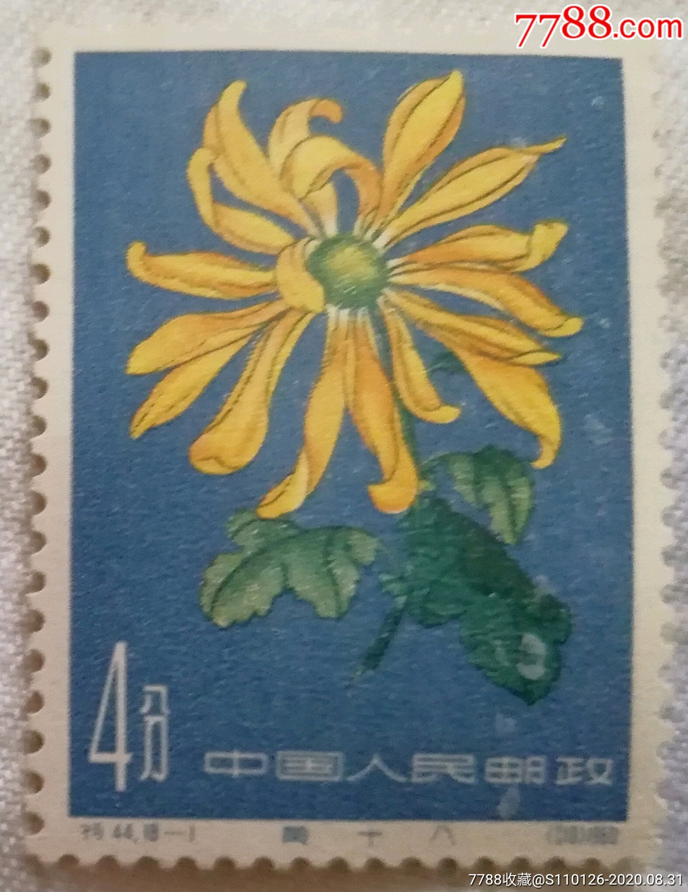 特44-1菊花(新1枚),新中国邮票_第1张_7788邮票收藏