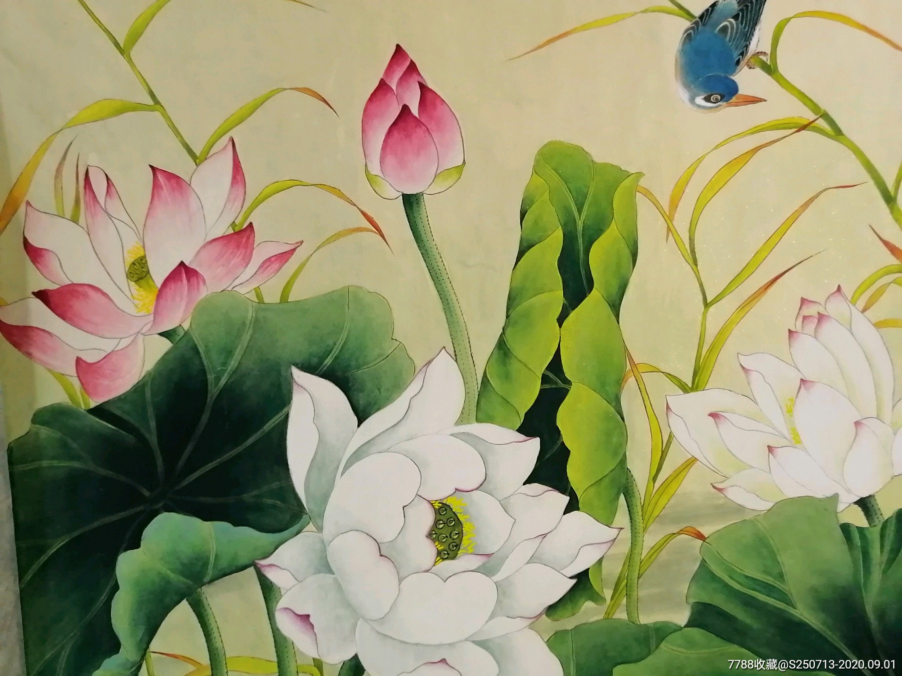 刘来福六尺荷花横幅镜片-花鸟国画原作-7788书画网