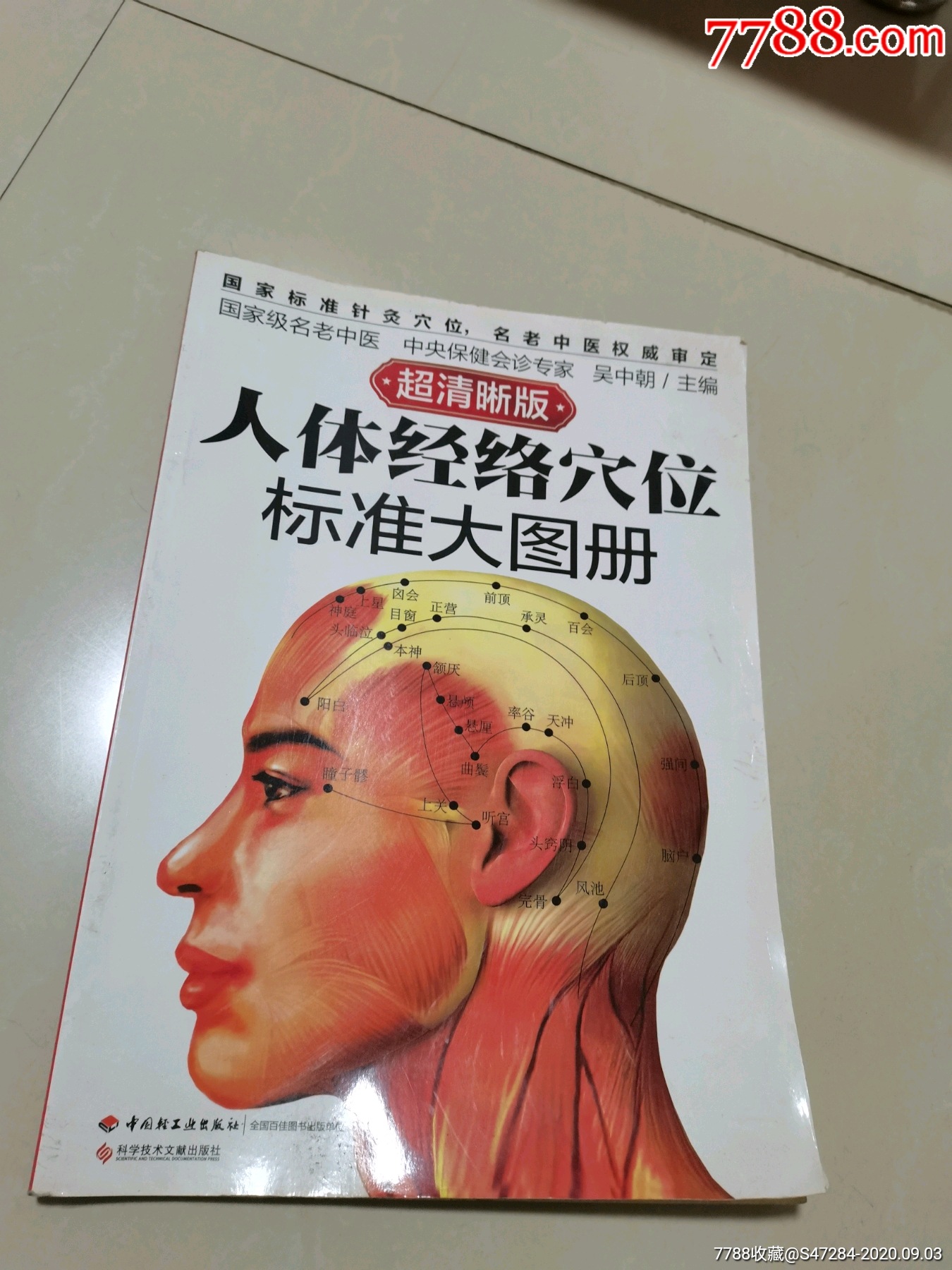 人体经络穴位标准大图册大开本