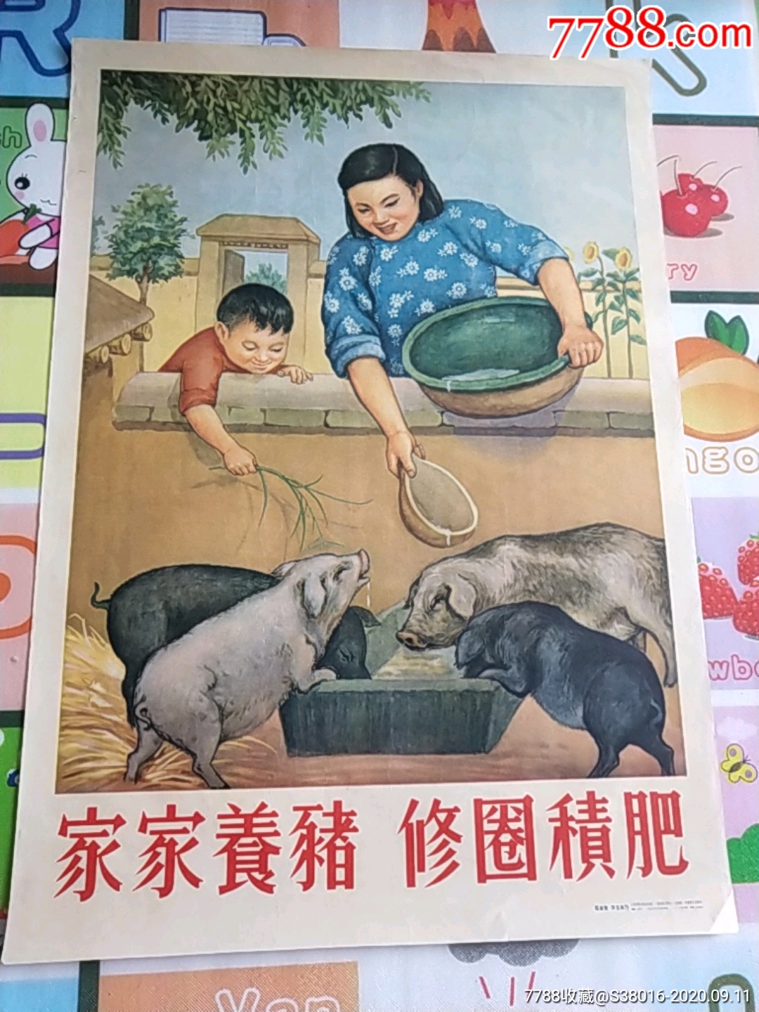 家家养猪,修圈积肥