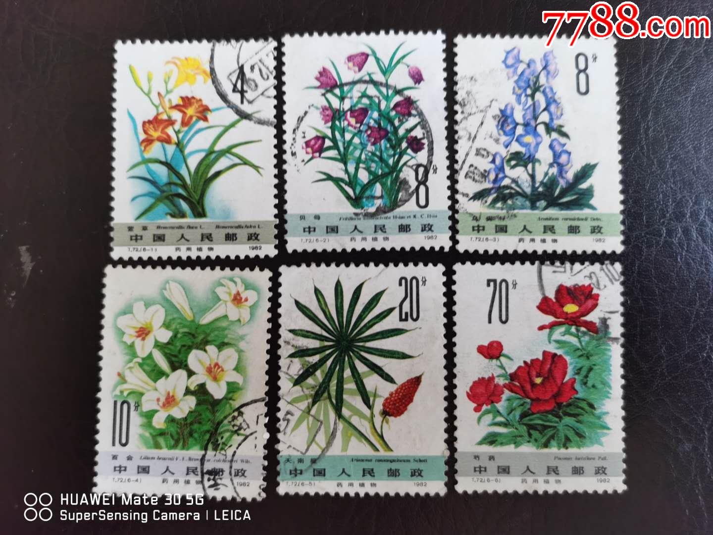 t72信销套票_新中国邮票_东洲邮苑【7788收藏__收藏热线】