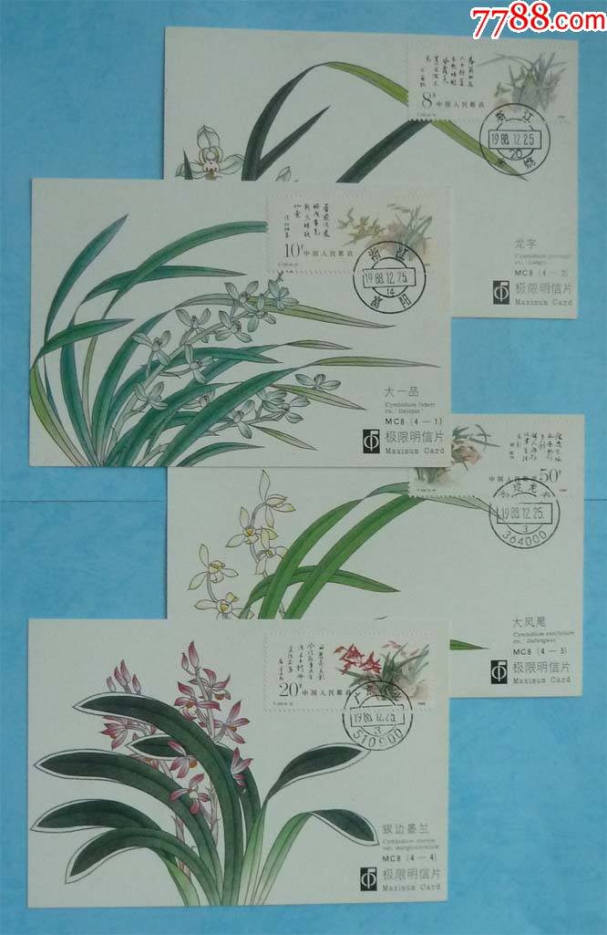 兰花植物名片制作图片