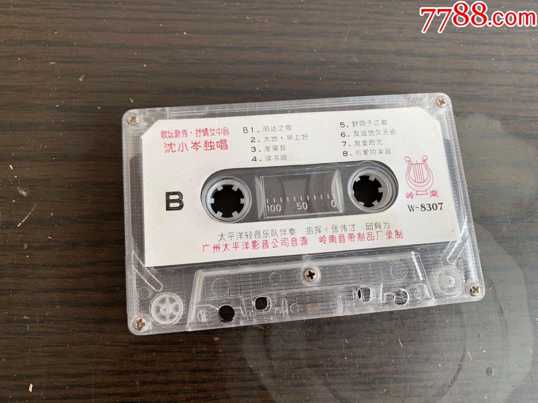 沈小岑专辑