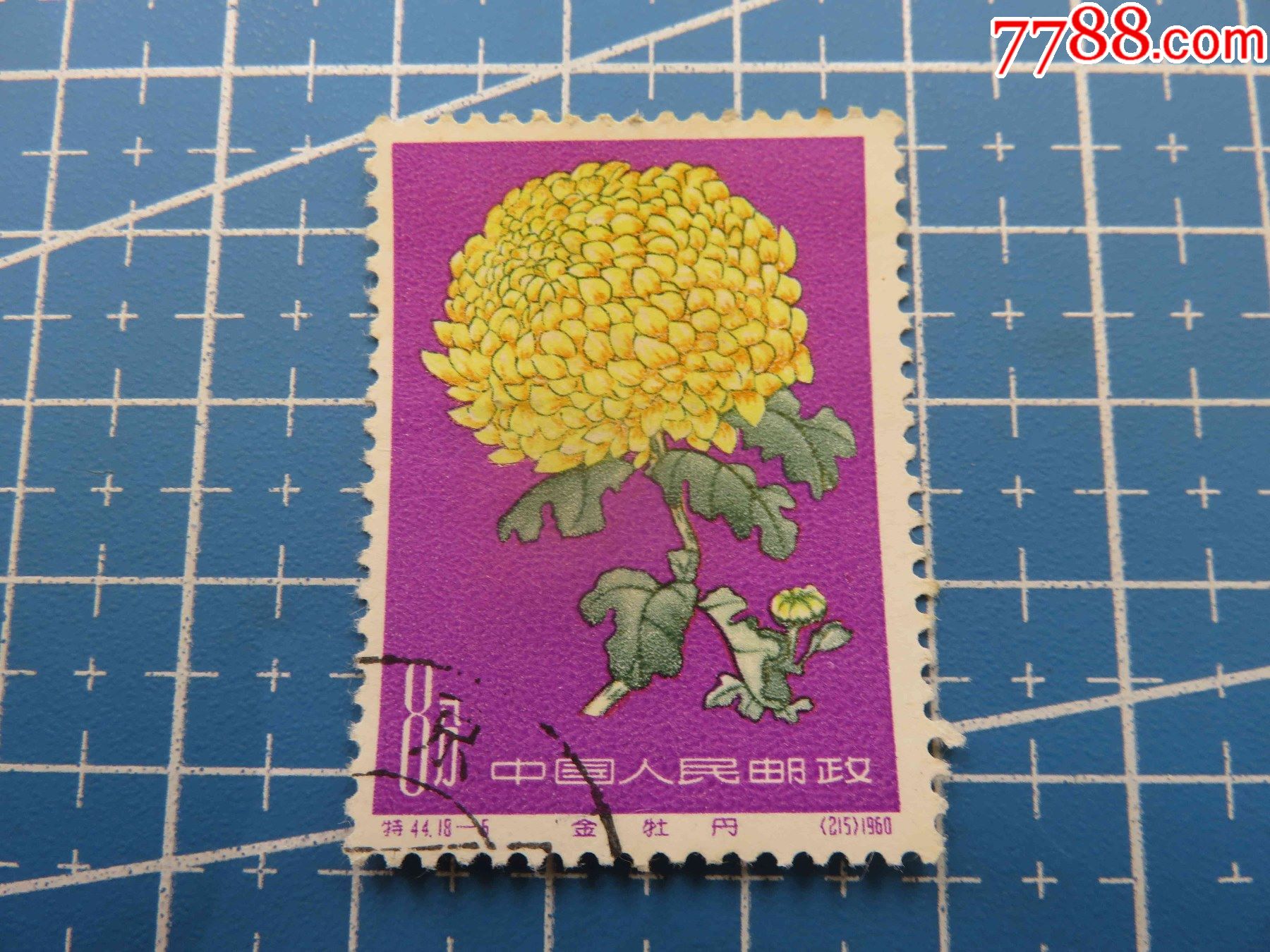 {会山书院}特44菊花(18-5)1枚盖销邮票