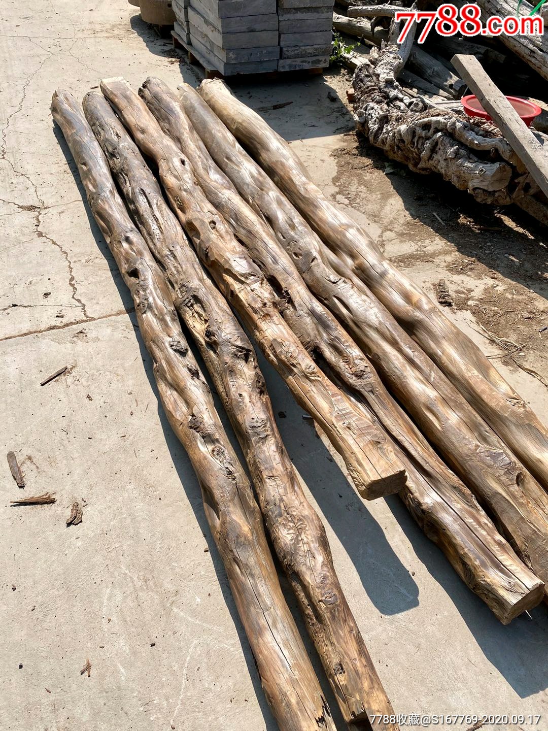 黄柏木檀条6根,造型别致美