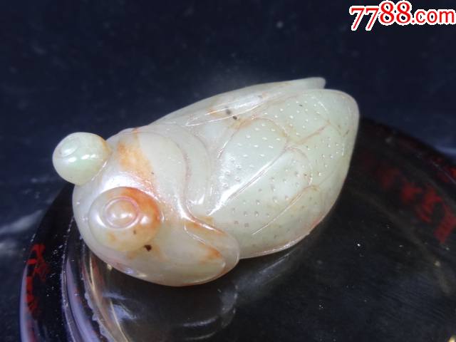 和田老玉蝉