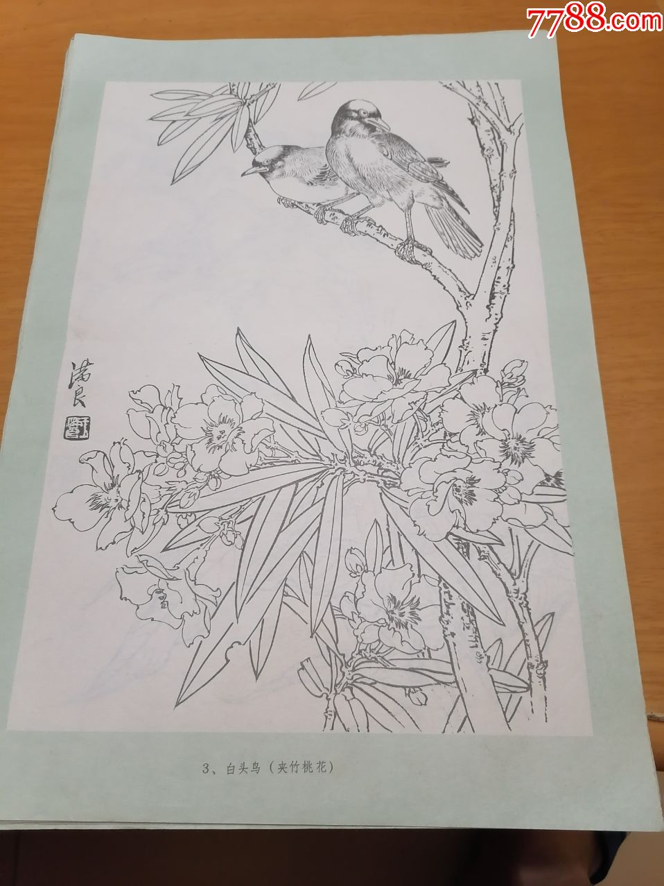 線描花鳥散頁共16張看圖