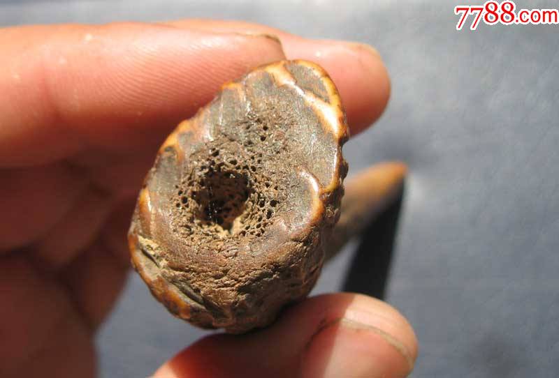 清代老鹿角-其他角制品-7788收藏