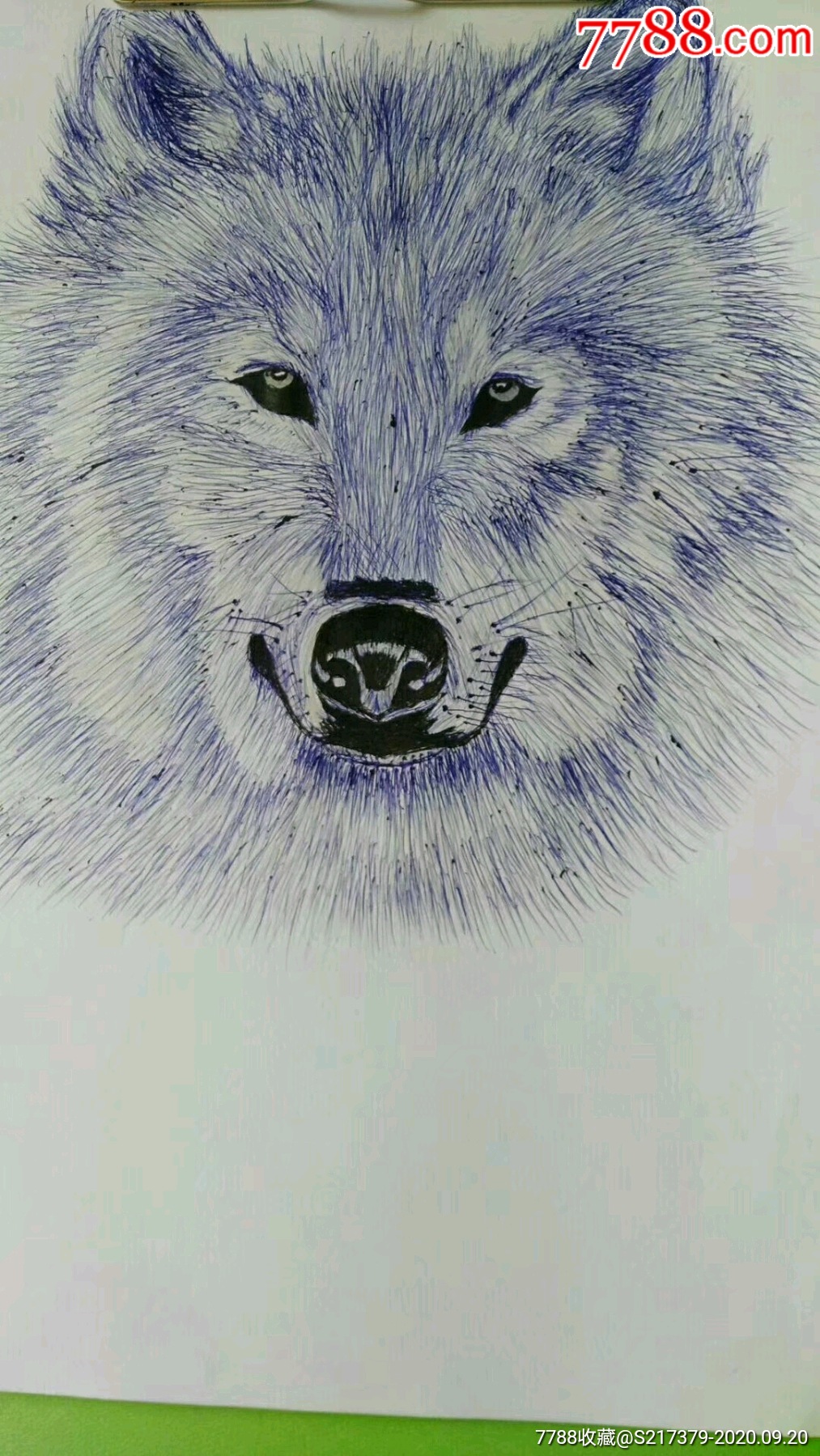 《纸蓝狐》画像_素描/速写_第2张_7788字画网